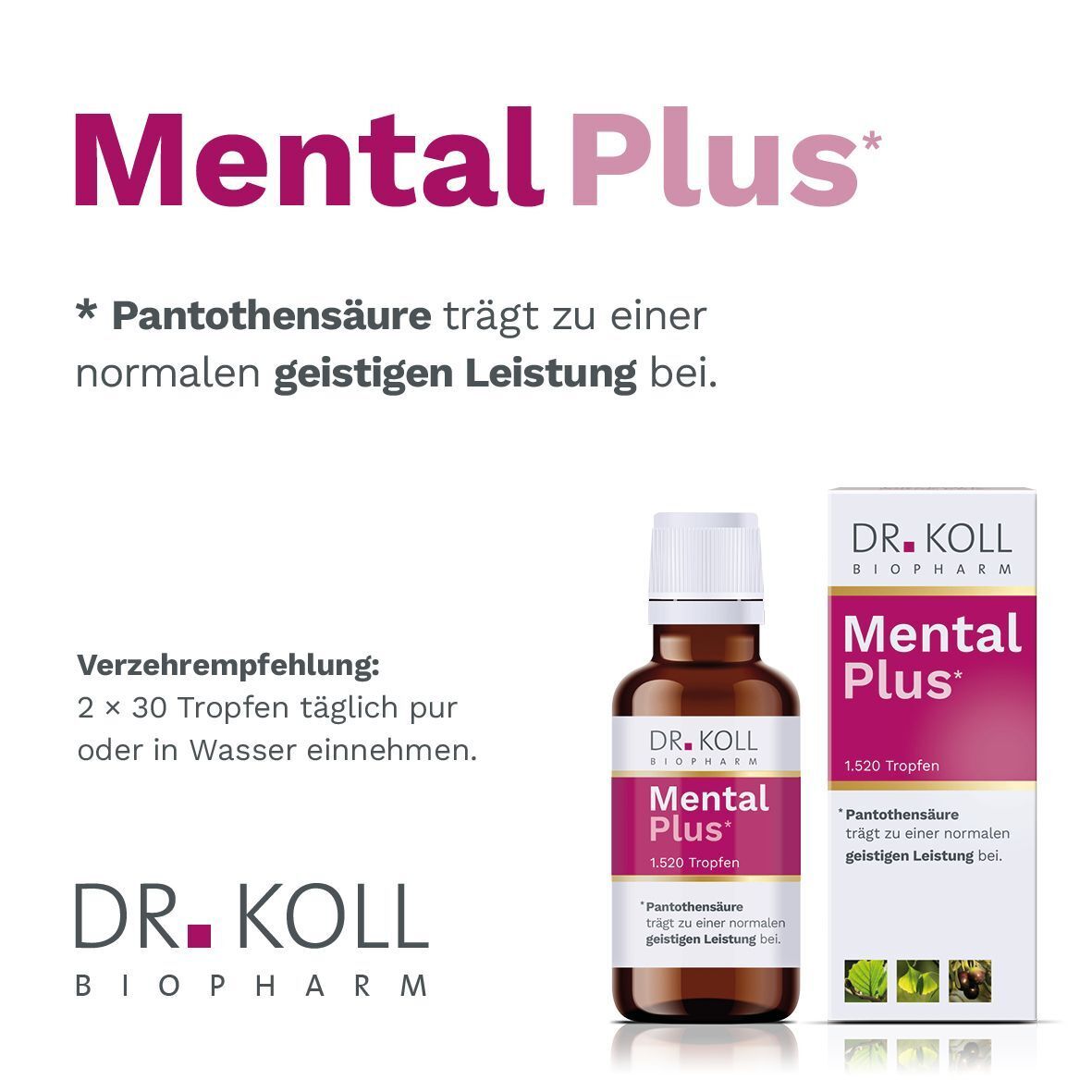 DR. KOLL Mental Plus Tropfen: Flasche und Karton, rosa Etikett mit Text und Pflanzenbildern.