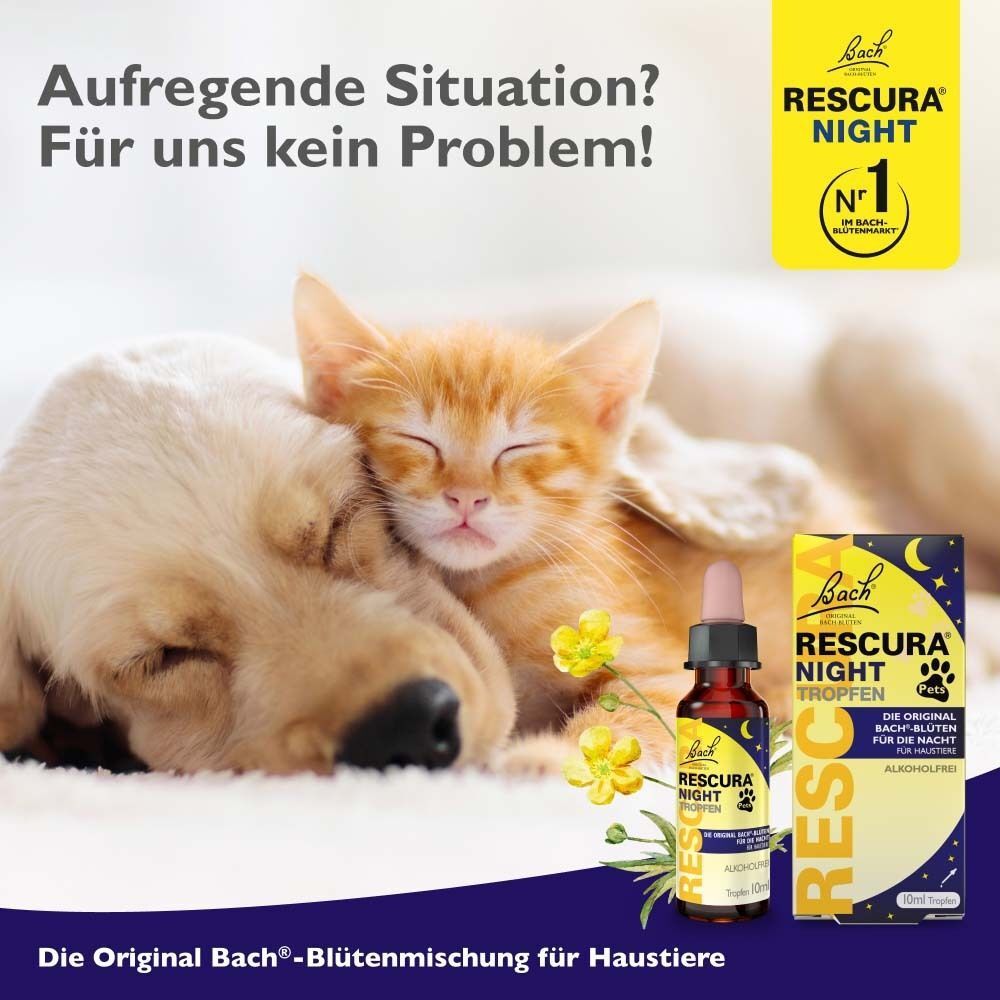 Katze und Hund schlafen friedlich neben einer Flasche und Schachtel Bachblüten Rescura Night Pets Tropfen.