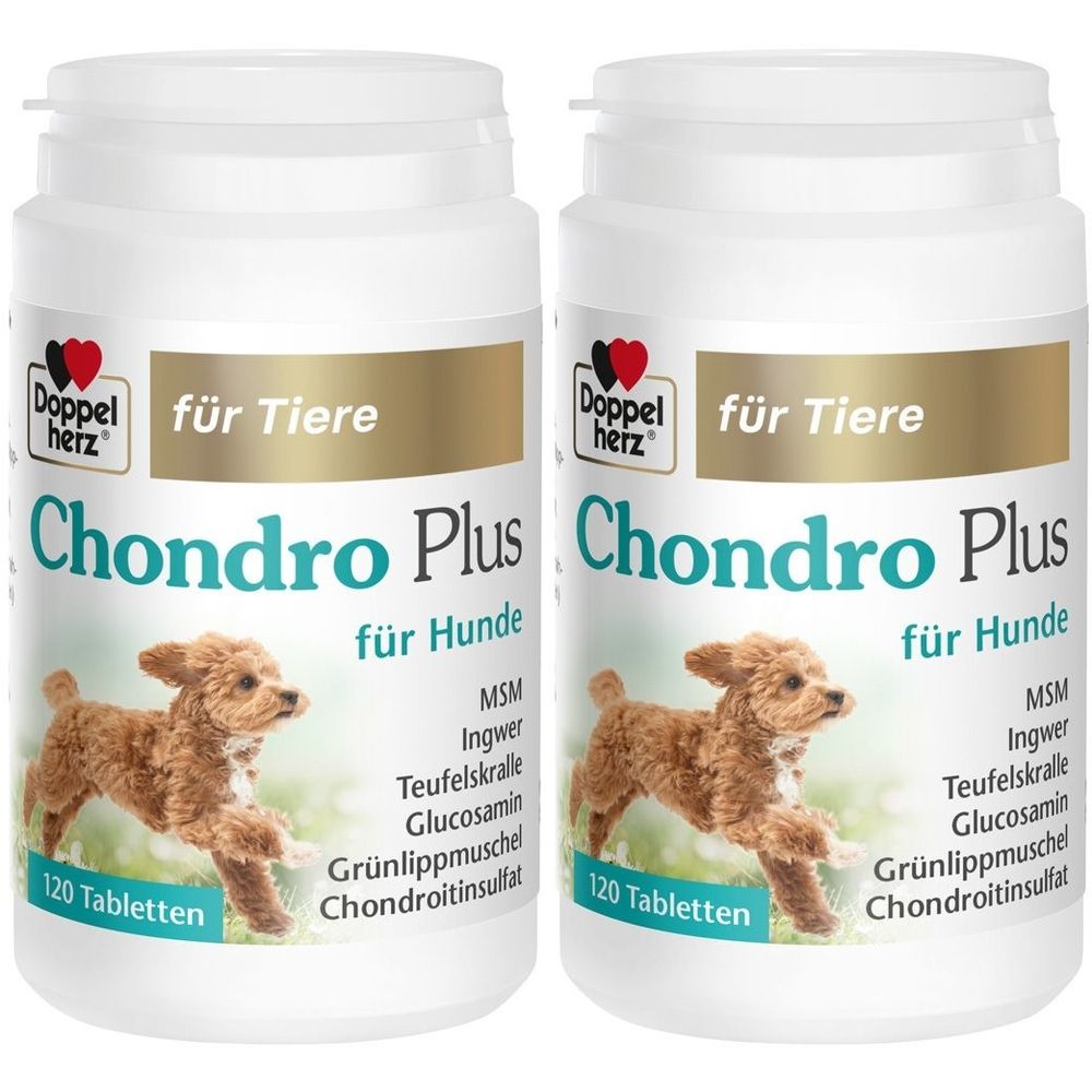 Zwei weiße Flaschen mit Etiketten. Aufschrift: Doppelherz, Chondro Plus für Hunde. Abbildung eines Hundes. 120 Tabletten.