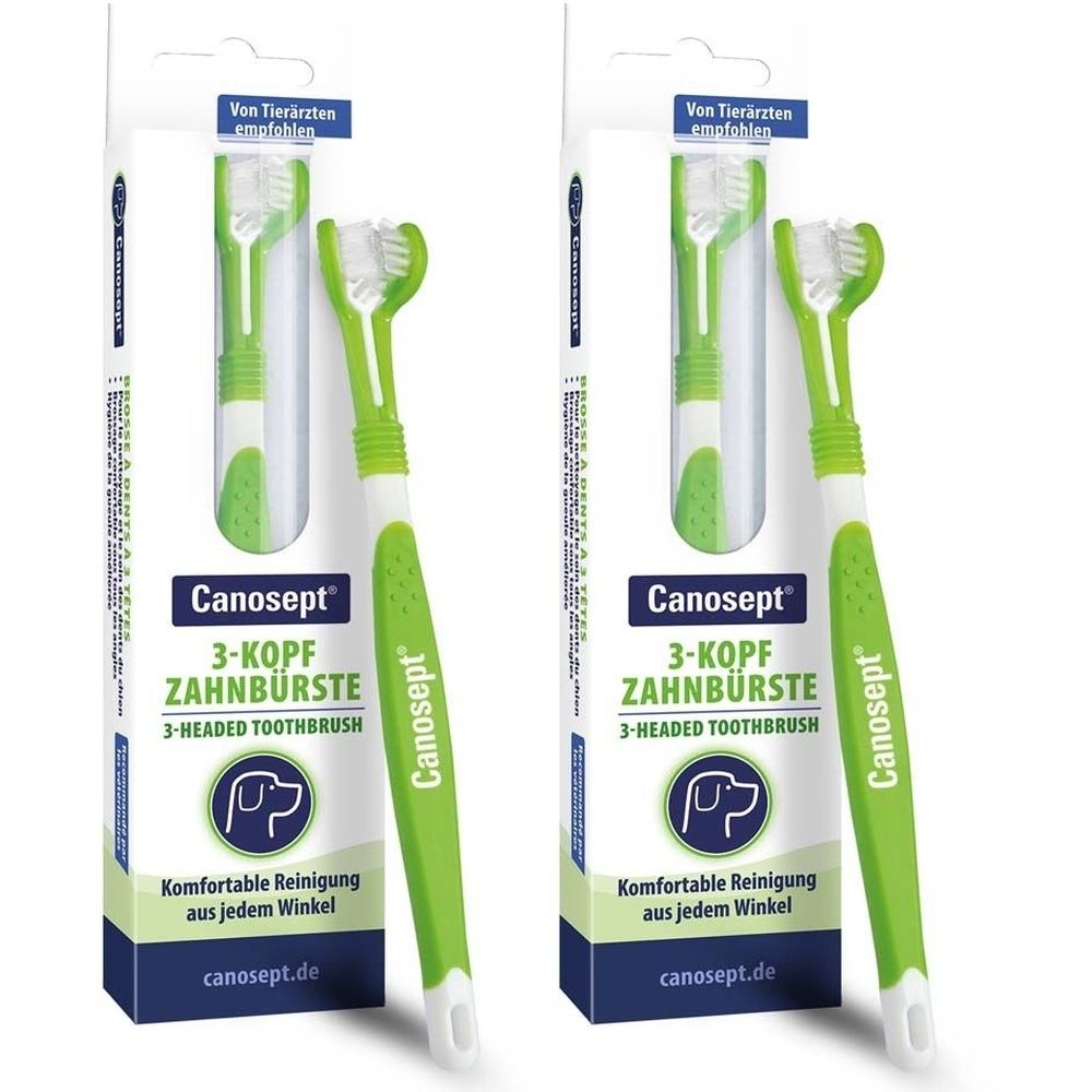 Zwei Canosept® 3-Kopf Zahnbürsten in Verpackung. Grüne und weiße Zahnbürsten mit dreifachem Bürstenkopf. Verpackung mit Produktname und Logo.