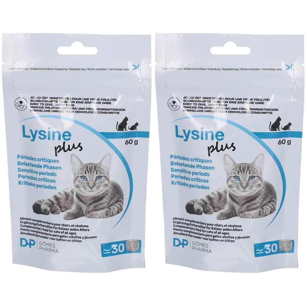 Zwei Beutel Lysine plus für Katzen. Aufdruck: 60g, Katze, ca. 30 Tabletten. Dômes Pharma Logo.