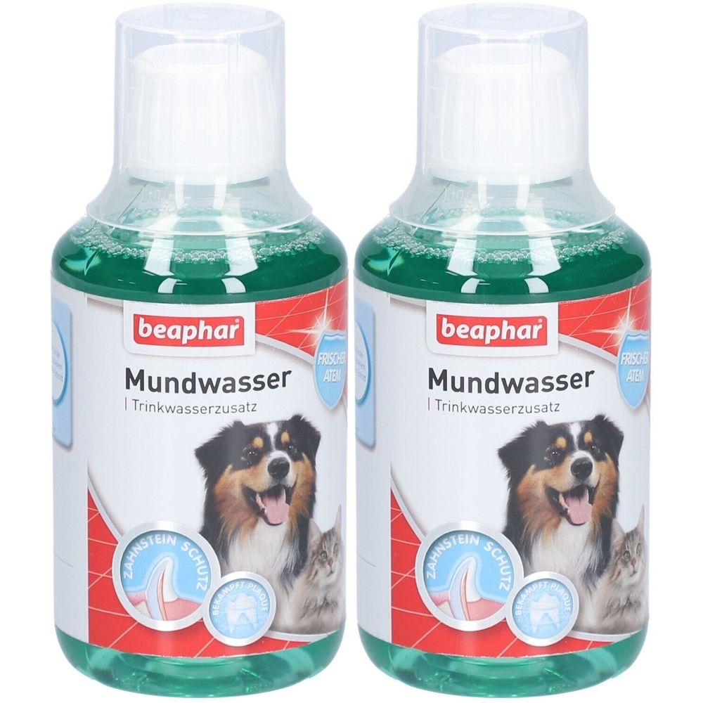 Zwei Flaschen Beaphar Mundwasser für Hunde. Grünliche Flüssigkeit in transparenten Flaschen mit weißem Deckel. Etikett mit Hund und Katze.