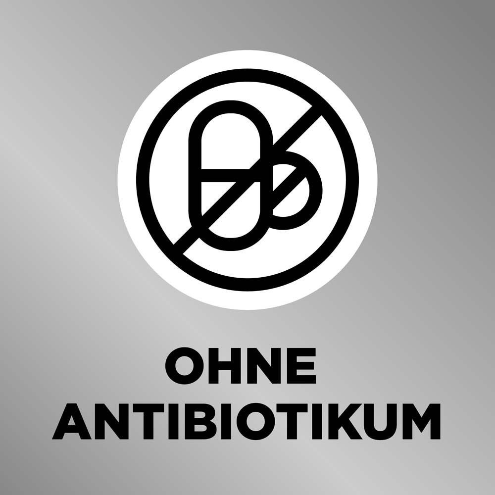 Grafik mit Text: Ohne Antibiotikum. Symbol: Durchgestrichene Tablette. Hintergrund grau.
