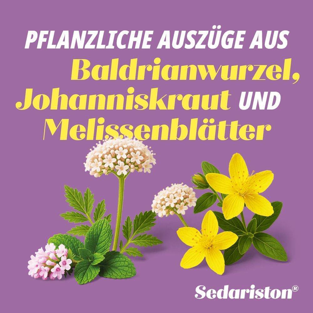 Pflanzliche Auszüge aus Baldrianwurzel, Johanniskraut und Melissenblätter. Auf lila Hintergrund. Sedariston®.