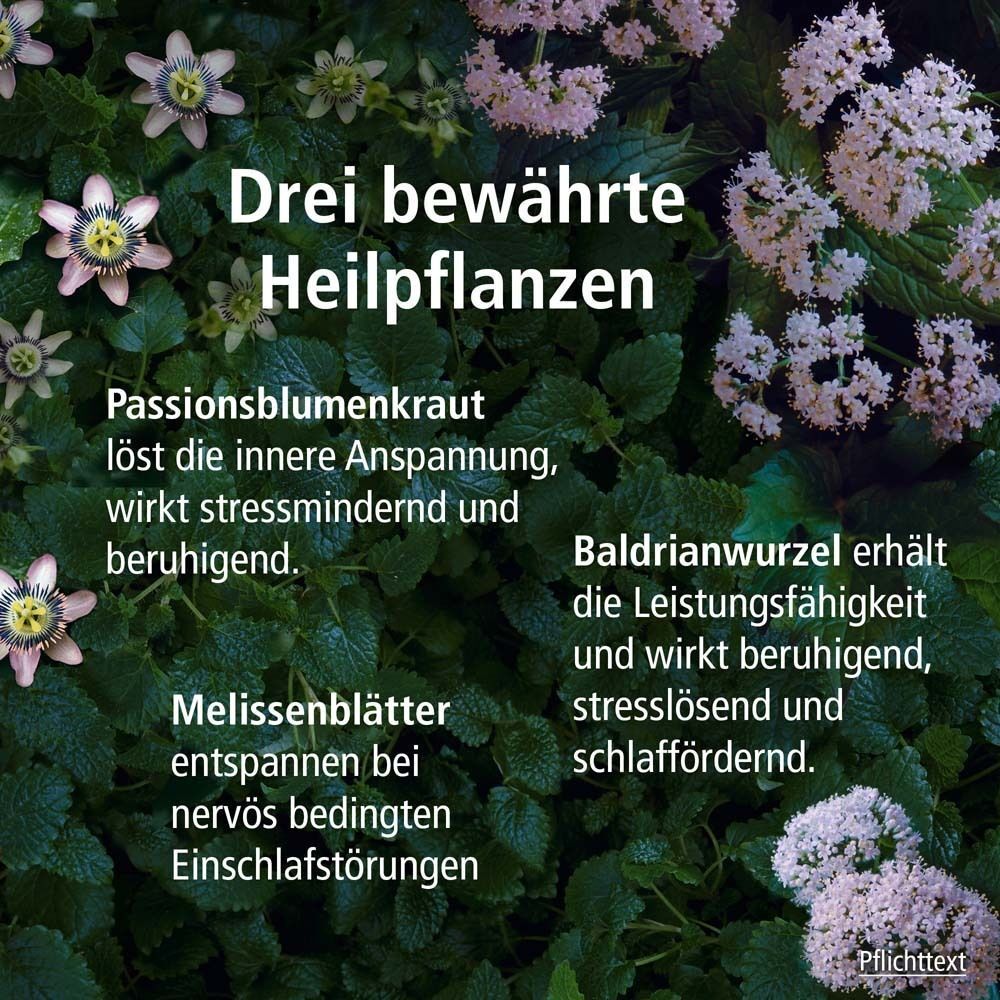 Pflanzenabbildung mit Text: Drei bewährte Heilpflanzen. Passionsblume, Melisse, Baldrian. Wirkung: entspannend, beruhigend, schlaffördernd.