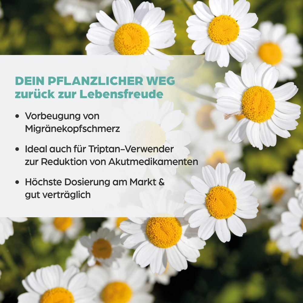 Dr.Böhm® Mutterkraut Apomedica 200 mg Filmtabletten