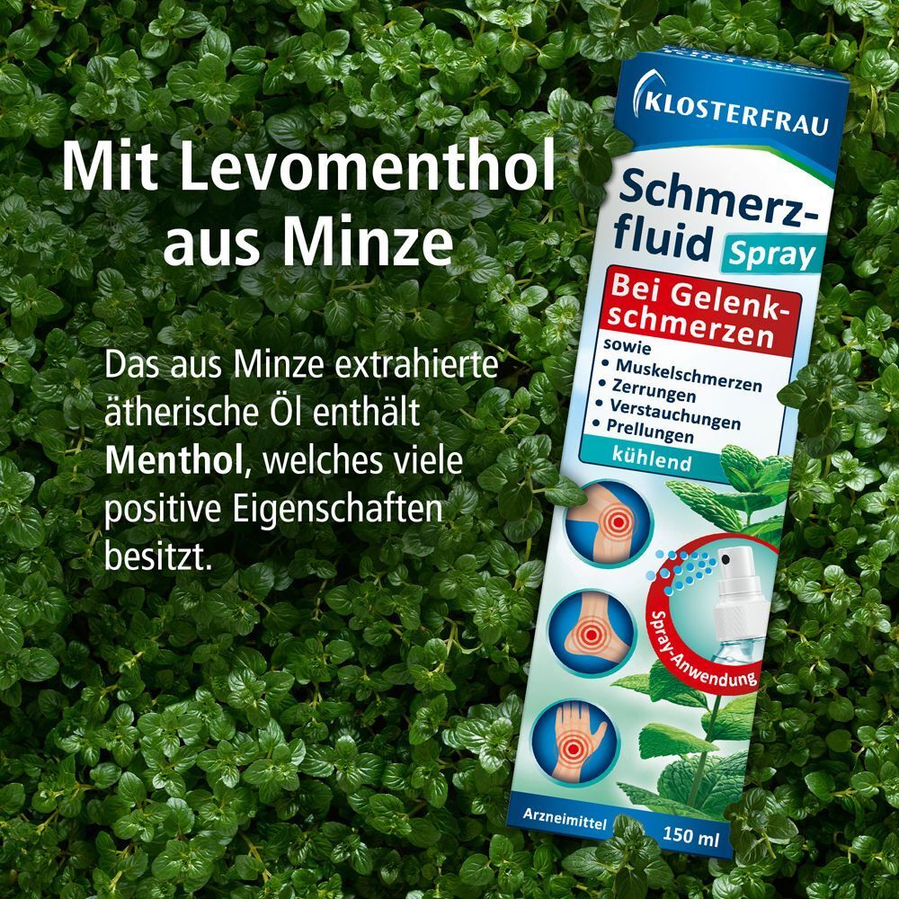KLOSTERFRAU Schmerzfluid