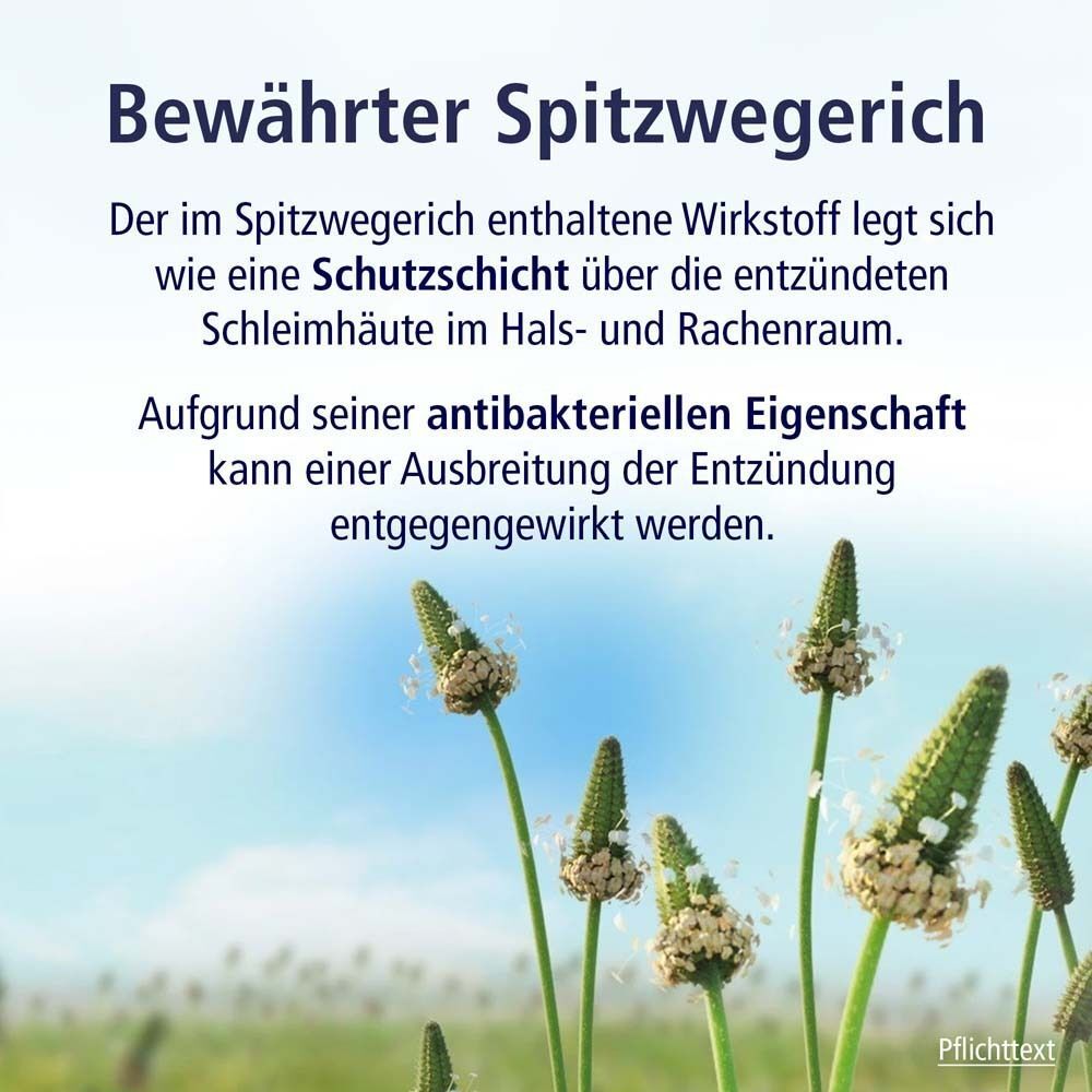KLOSTERFRAU Hustensaft