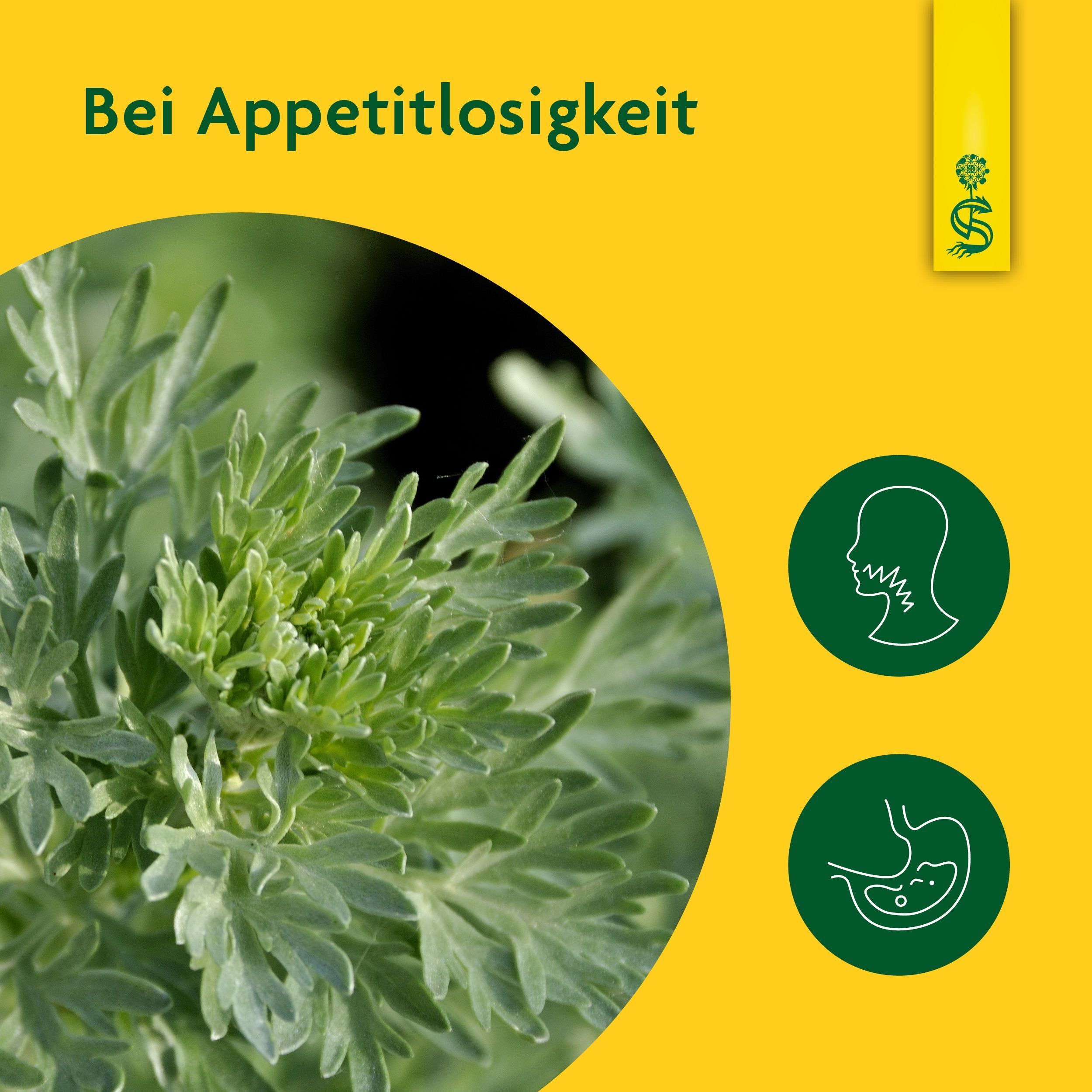 Gelber Hintergrund mit Text und Illustrationen. Pflanze, Symbole für Hals und Magen.