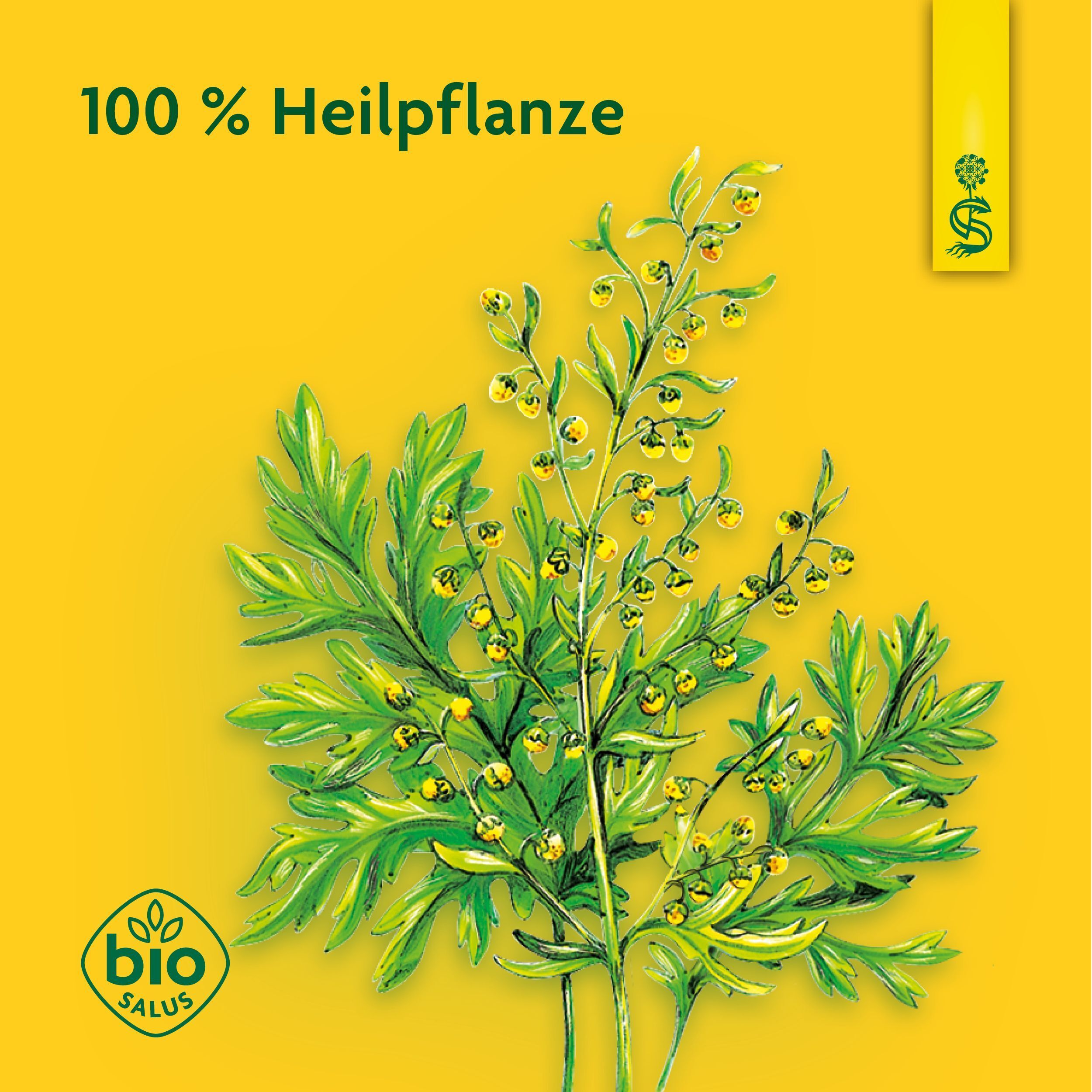 Gelber Hintergrund mit Pflanze und Text: 100 % Heilpflanze. Bio-Siegel.