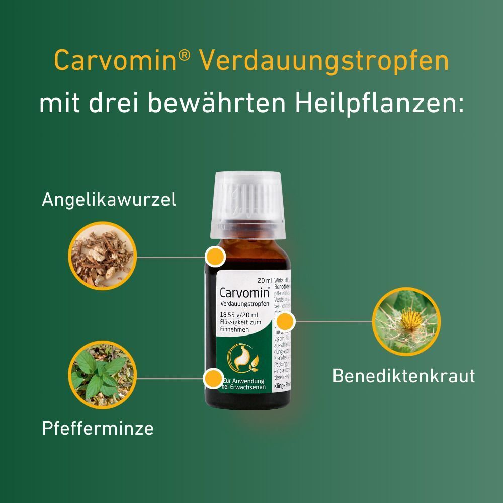Braune Flasche Carvomin® Verdauungstropfen. Daneben: Engelwurz, Benediktenkraut, Pfefferminze. Text: mit drei bewährten Heilpflanzen.