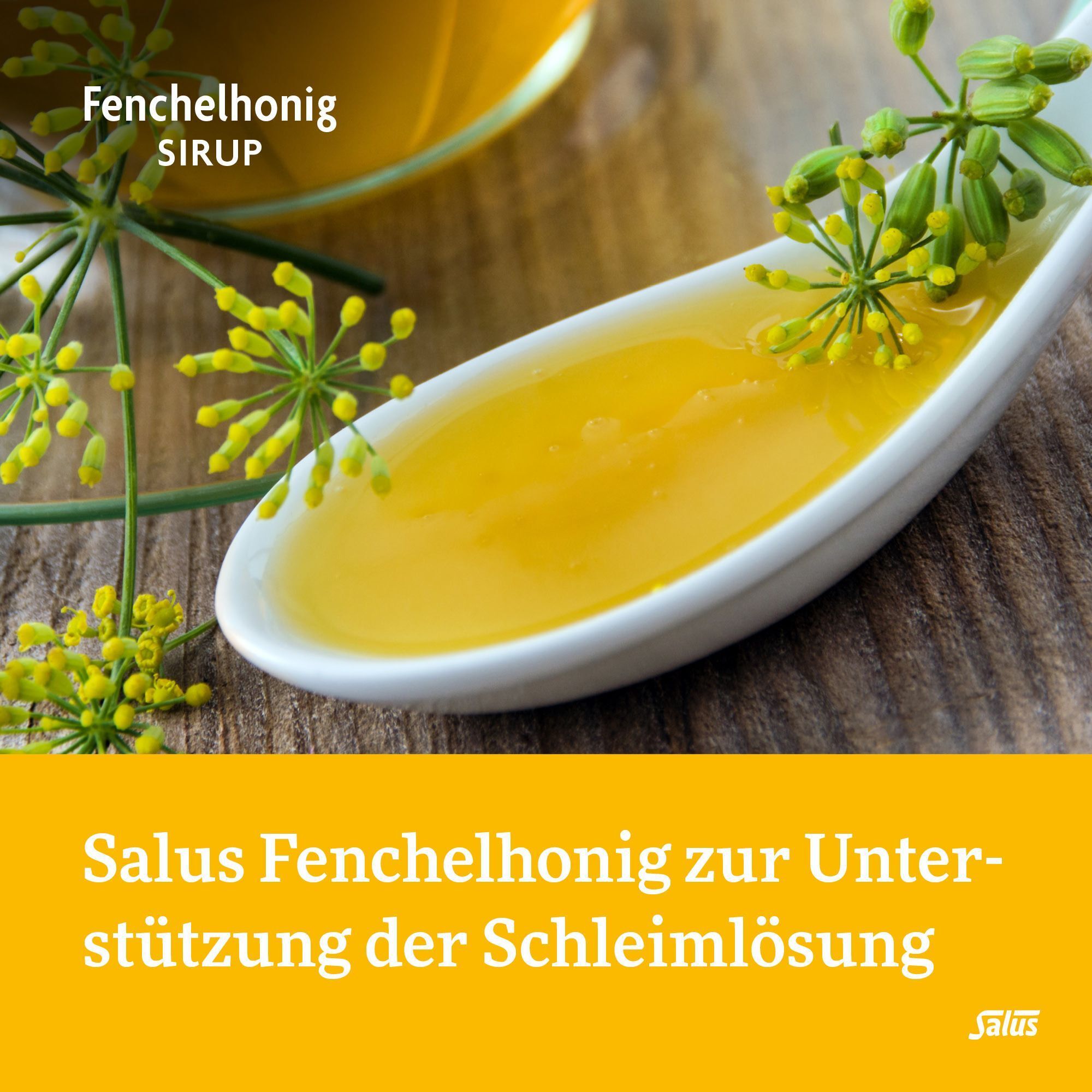 Löffel mit gelbem Sirup und Fenchelblüten. Text: Salus Fenchelhonig zur Unterstützung der Schleimlösung.