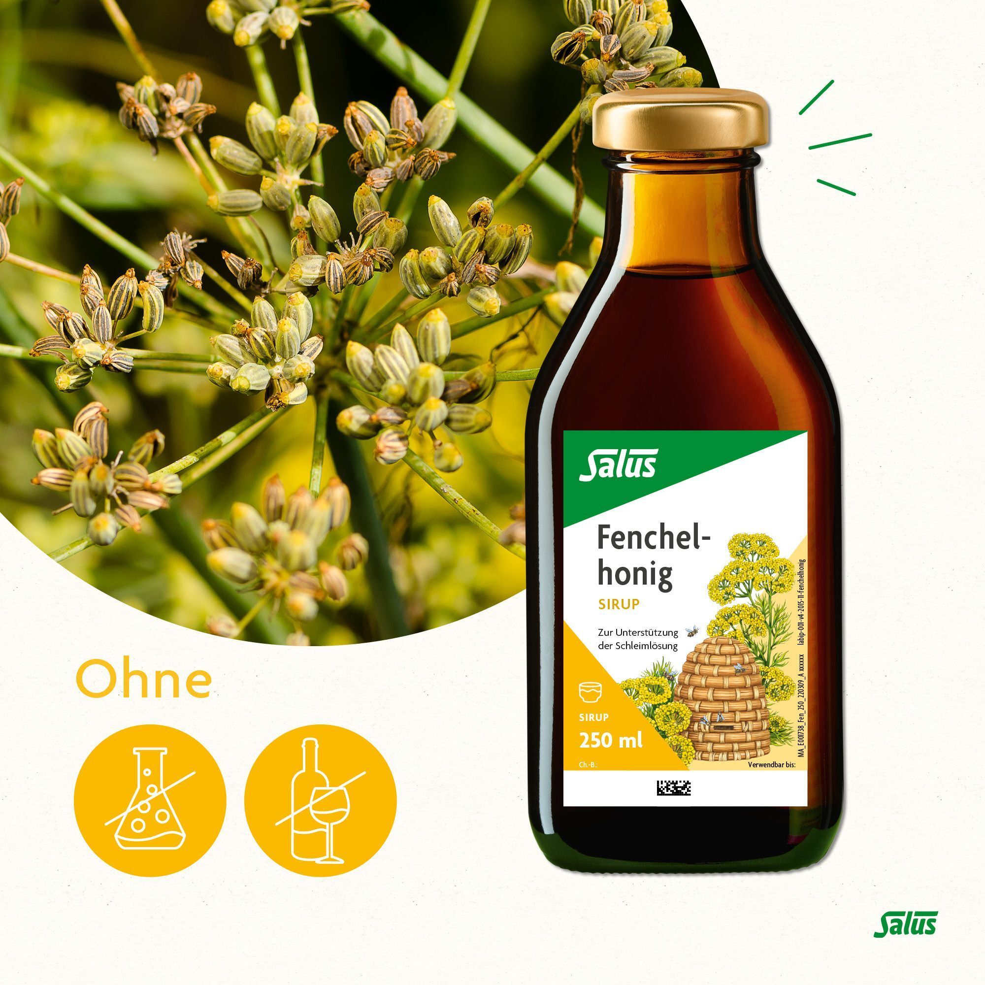 Flasche Salus Fenchelhonig mit Fenchelblüten. Ohne chemische Zusätze und ohne Alkohol.
