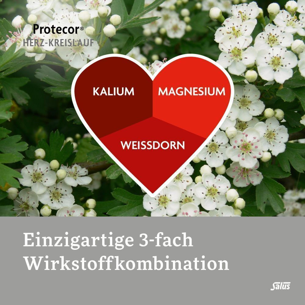 Herz-Grafik mit den Inhaltsstoffen Kalium, Magnesium und Weißdorn. Text: Einzigartige 3-fach Wirkstoffkombination.