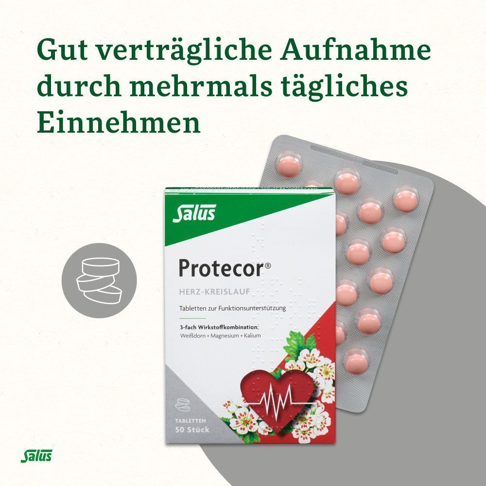 Packung und Blister Protecor Herz-Kreislauf Tabletten. Text: Gut verträgliche Aufnahme durch mehrmals tägliches Einnehmen. Salus Logo.