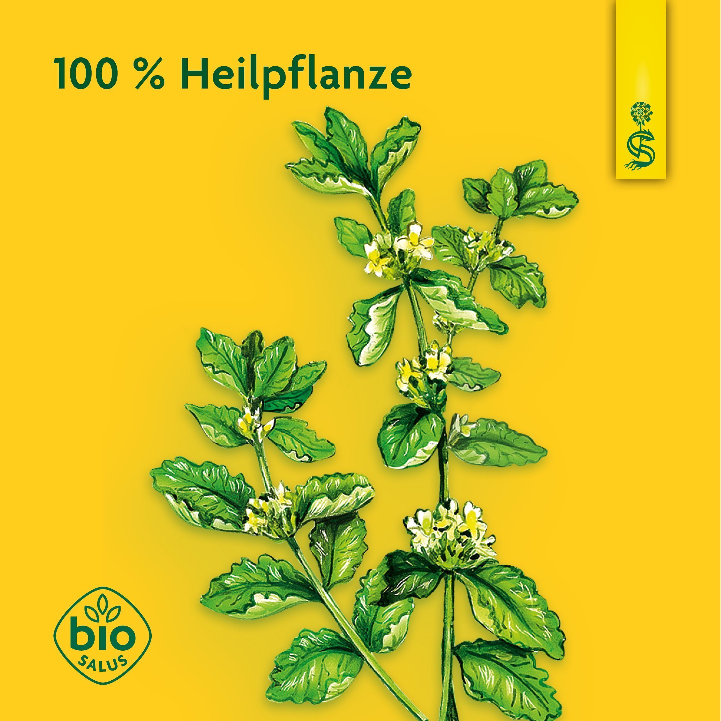 Pflanze mit Blüten. Gelber Hintergrund. Text: 100 % Heilpflanze. Bio-Siegel.