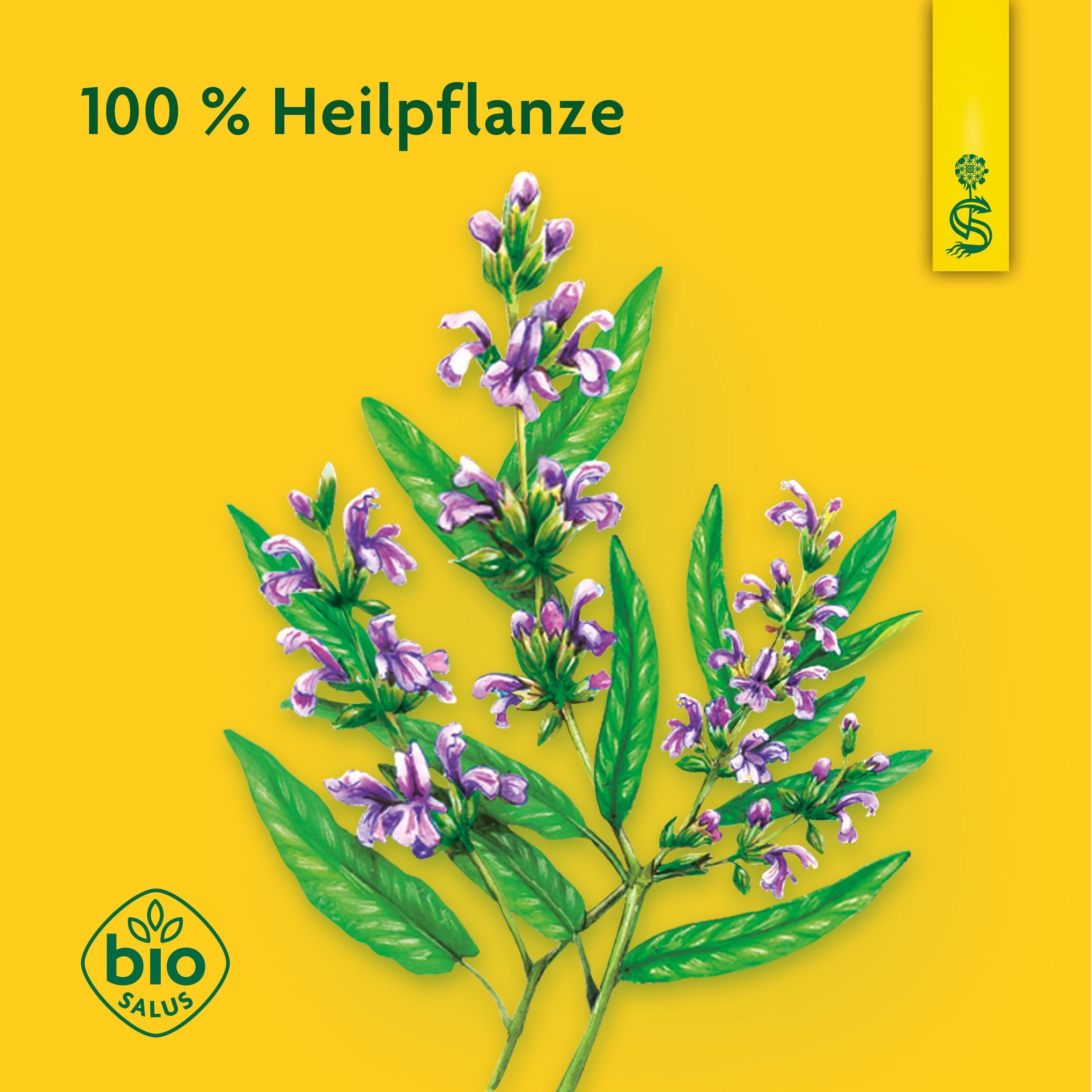 Zwei Zweige mit grünen Blättern und lila Blüten auf gelbem Hintergrund. Links "Bio Salus"-Siegel, oben "100 % Heilpflanze".