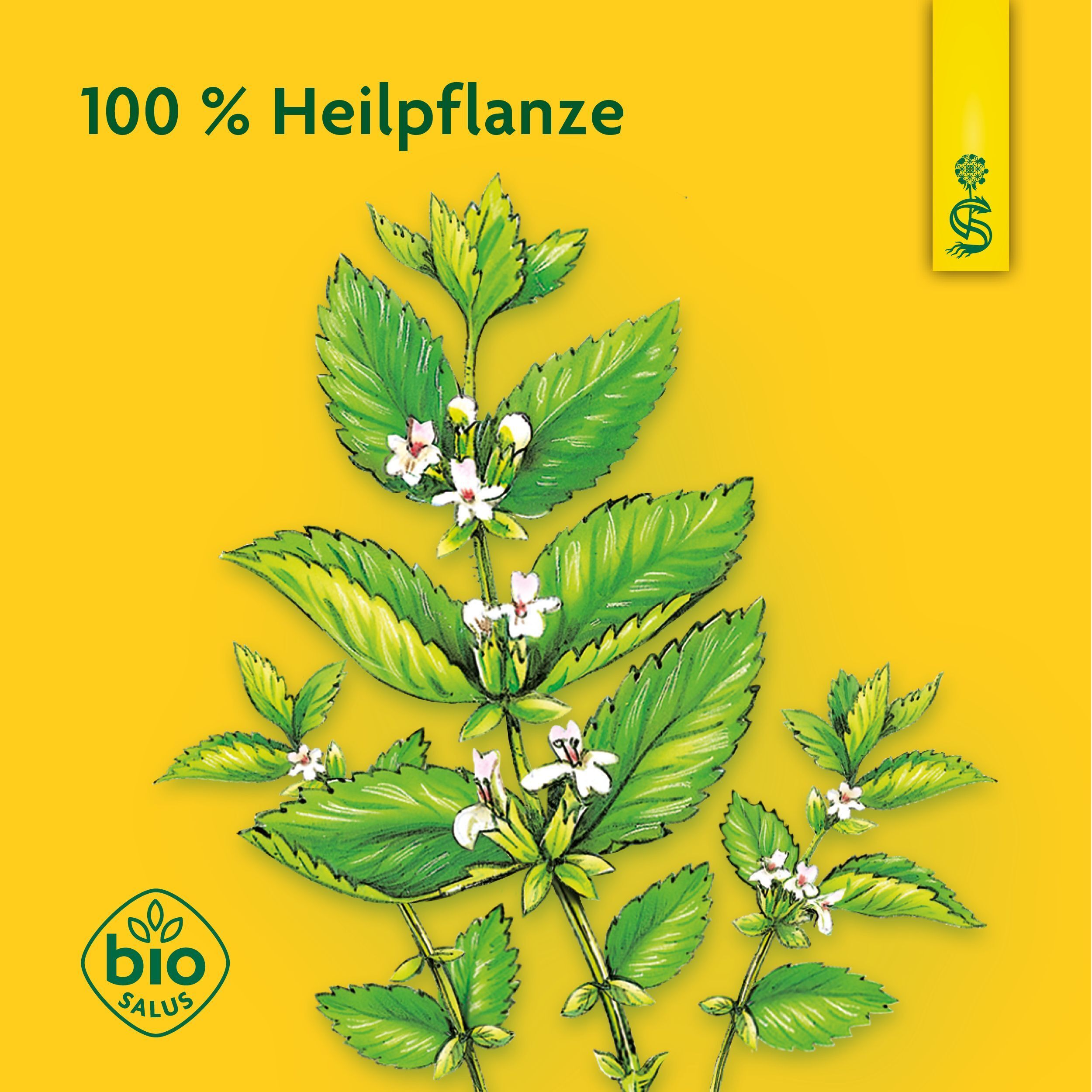 Illustration von Melisse-Pflanze mit Blüten. Text: 100% Heilpflanze. Bio-Siegel.