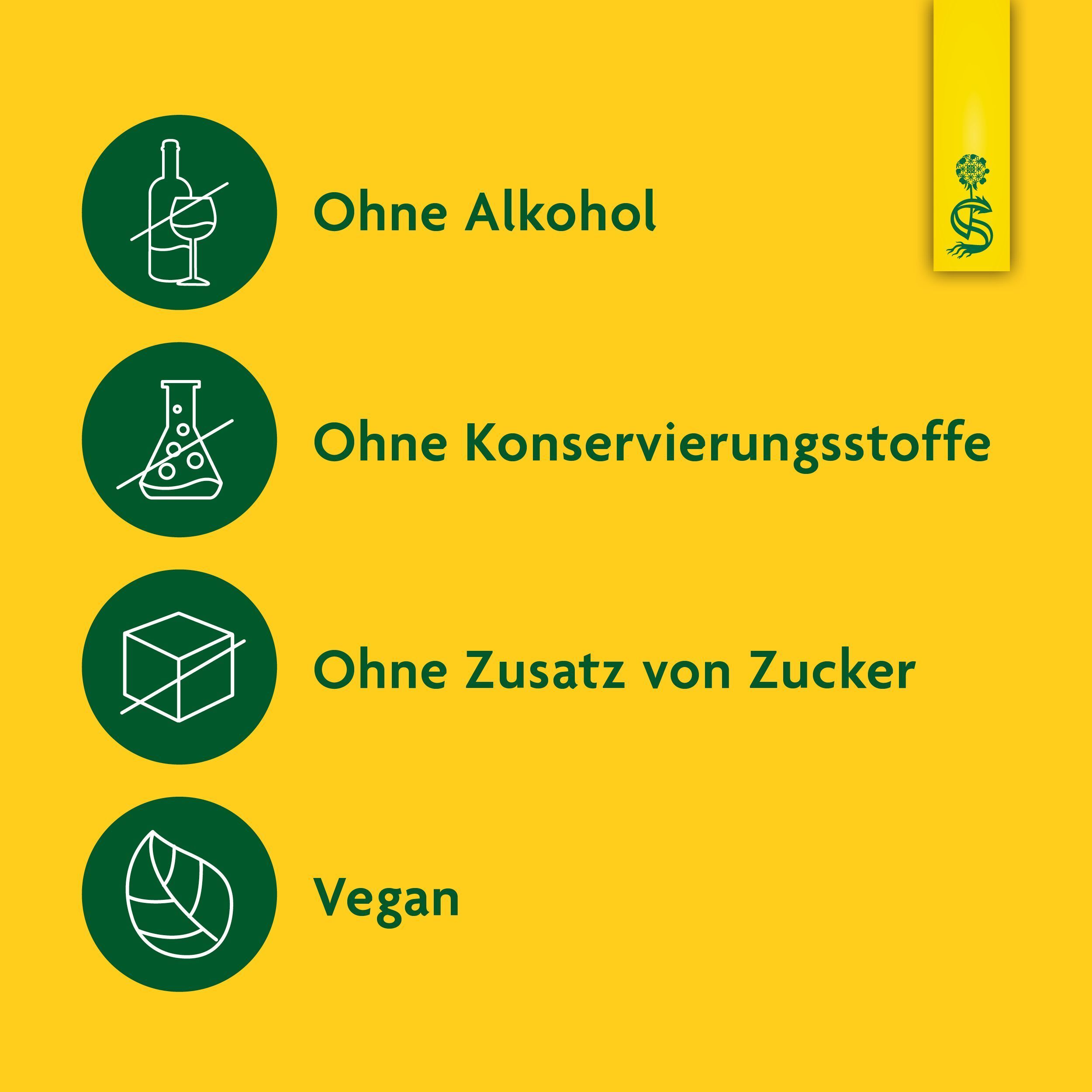 Kreisförmige Symbole: Ohne Alkohol, Konservierungsstoffe, Zucker, vegan. Gelber Hintergrund.