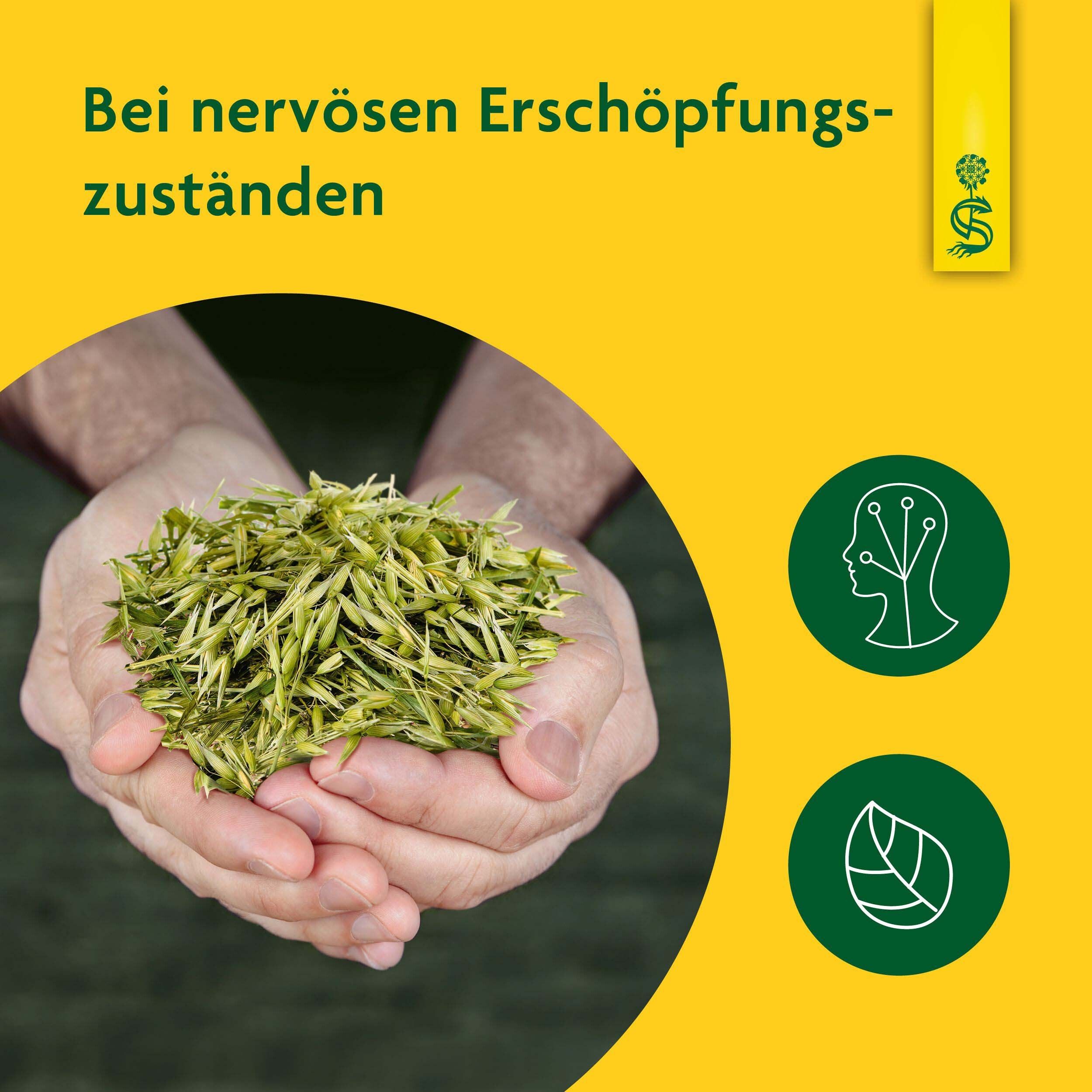 Hände halten grüne Pflanzen. Gelber Hintergrund. Zwei grüne Kreise mit Symbolen: Gehirn und Blatt.
