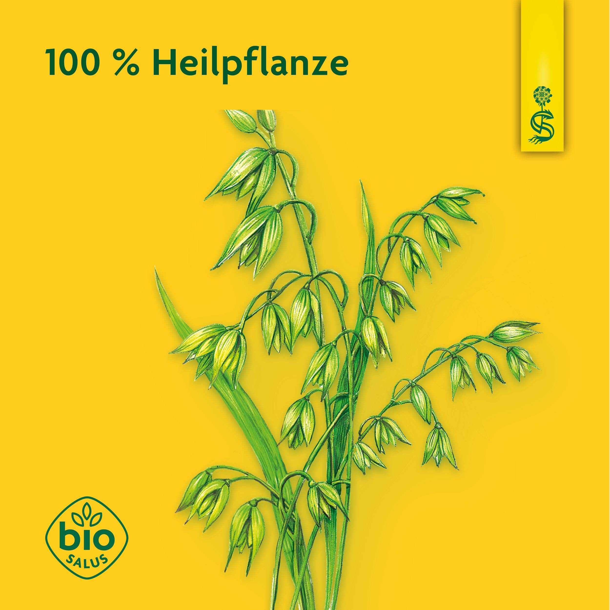 Grüne Pflanzen auf gelbem Hintergrund. Bio-Siegel. Text: 100 % Heilpflanze.