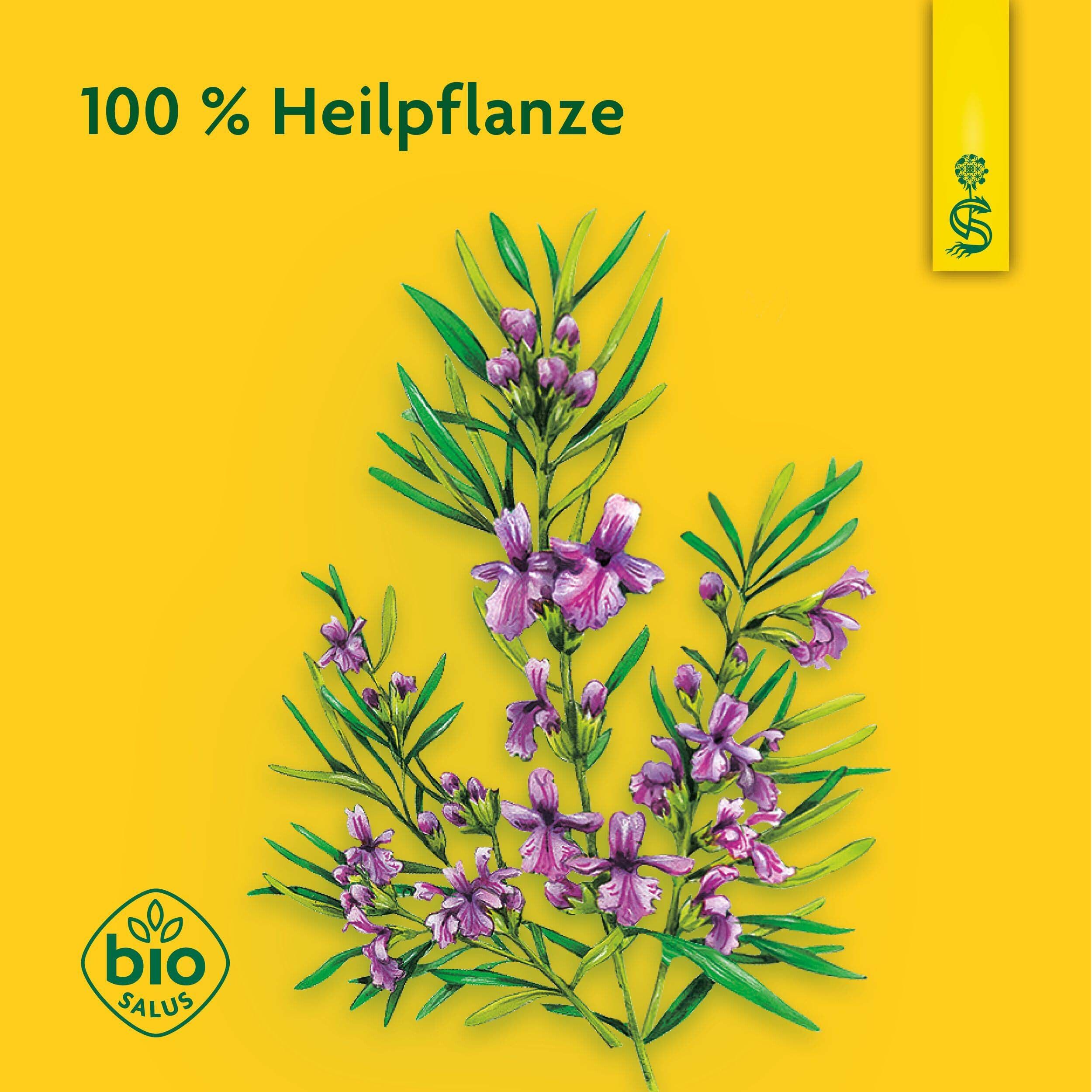 Rosmarinzweig mit lila Blüten. Gelber Hintergrund. Bio-Siegel.
