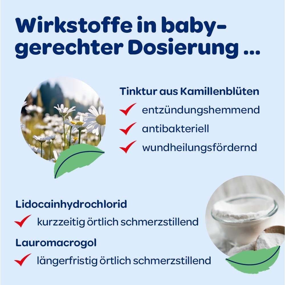 Inhaltsstoffe: Kamillenblüten, Lidocainhydrochlorid, Lauromacrogol. Illustrationen und Text.