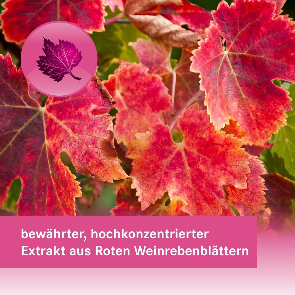 Nahaufnahme von roten Weinrebenblättern. Rosa Banner mit Text: bewährter, hochkonzentrierter Extrakt aus Roten Weinrebenblättern.