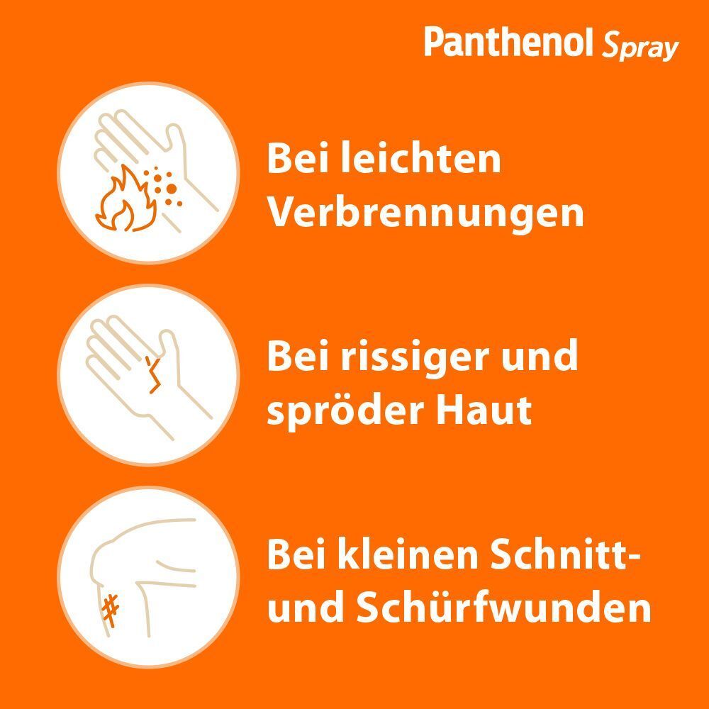 Drei Kreise mit Piktogrammen und Text. Oben: Panthenol Spray. Themen: Verbrennungen, rissige Haut, kleine Schnittwunden.