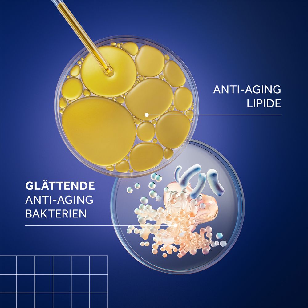 Grafische Darstellung. Zwei Kreise. Oben: Anti-Aging Lipide. Unten: Glättende Anti-Aging Bakterien.