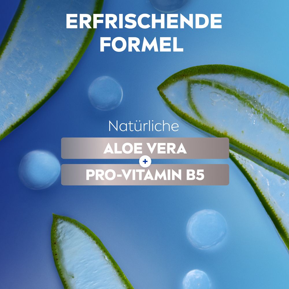 Nahaufnahme von Aloe Vera und Pro-Vitamin B5. Text: Erfrischende Formel. Natürliche Inhaltsstoffe.