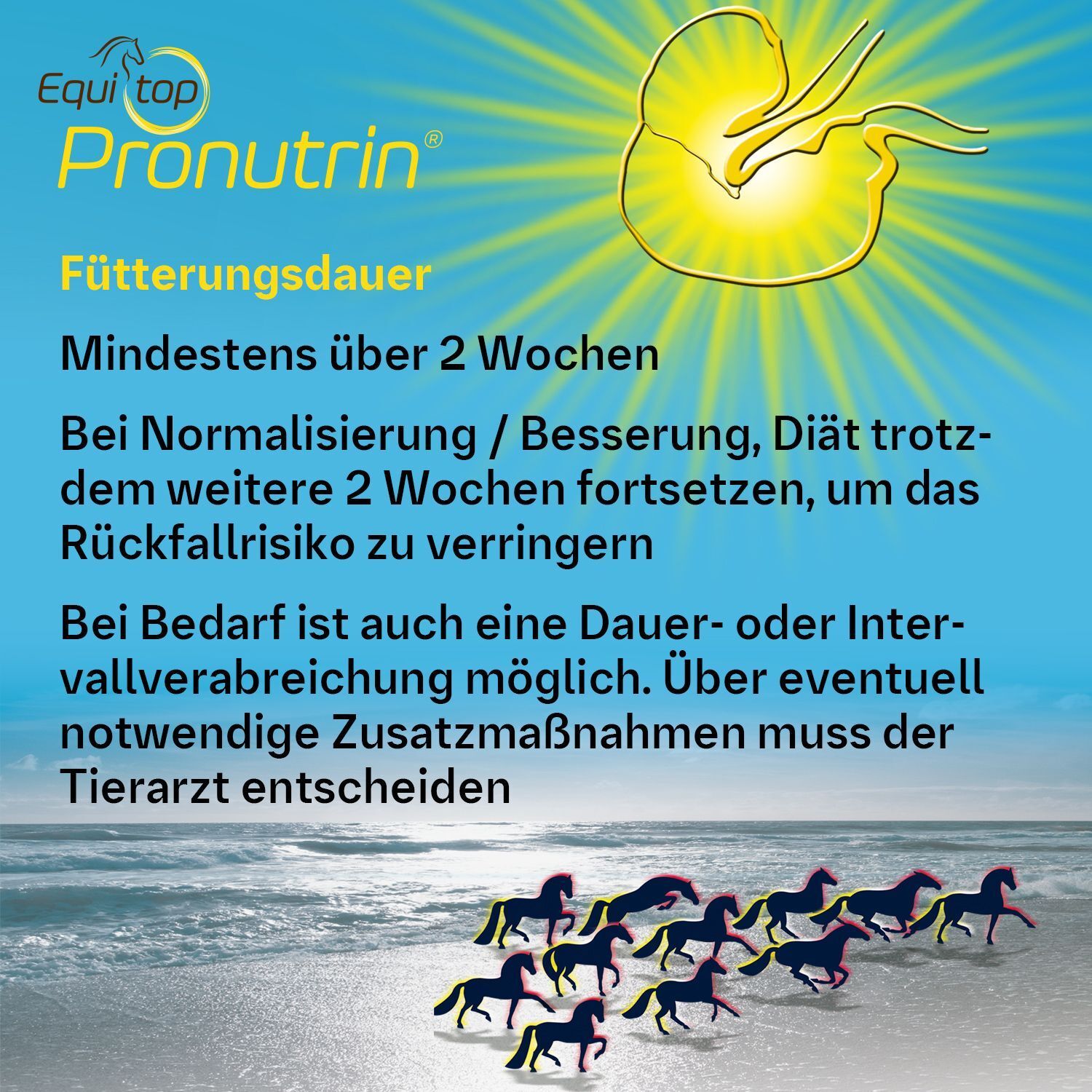 Text mit Informationen zur Fütterungsdauer von Equitop Pronutrin®. Mindestens 2 Wochen.