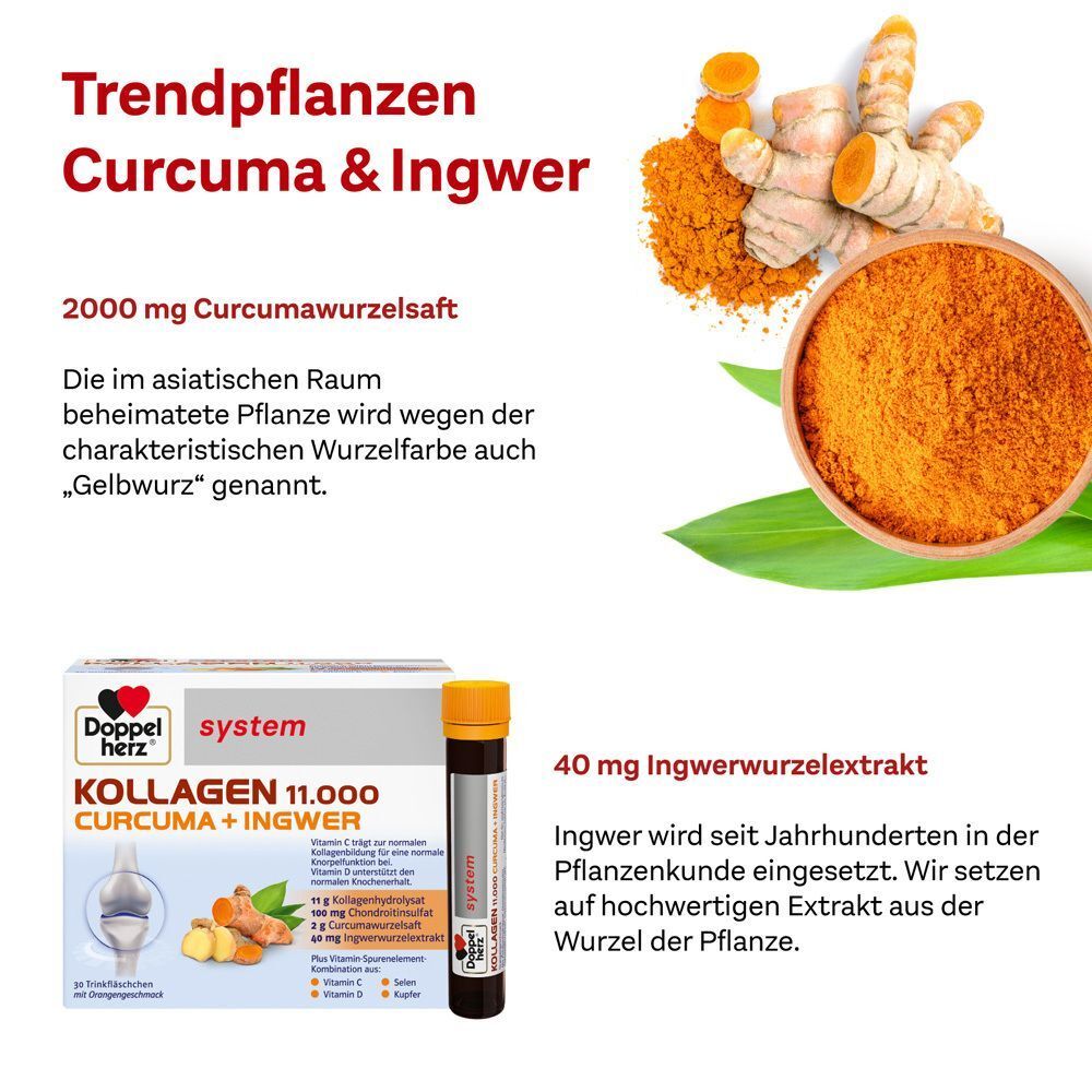 Curcuma- und Ingwer-Wurzeln und Pulver. Daneben eine Packung und ein Trinkfläschchen Doppelherz system KOLLAGEN 11.000 CURCUMA + INGWER.