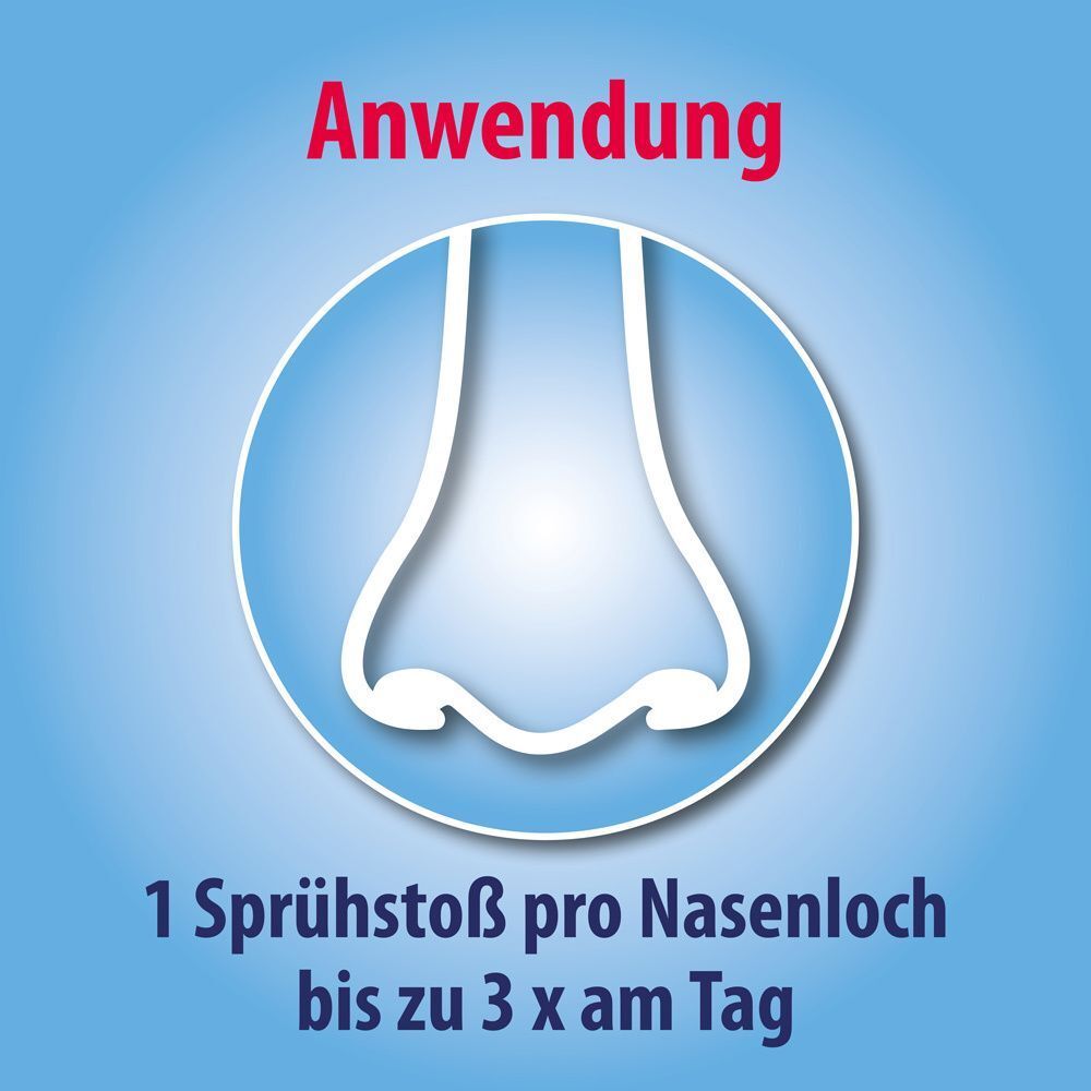 Nasen-Illustration. Text: Anwendung. 1 Sprühstoß pro Nasenloch bis zu 3 x am Tag.