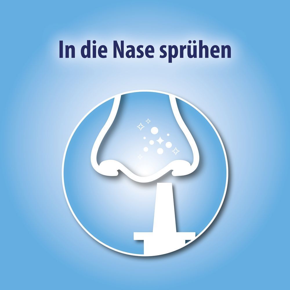 Nasen-Illustration. Text: In die Nase sprühen.