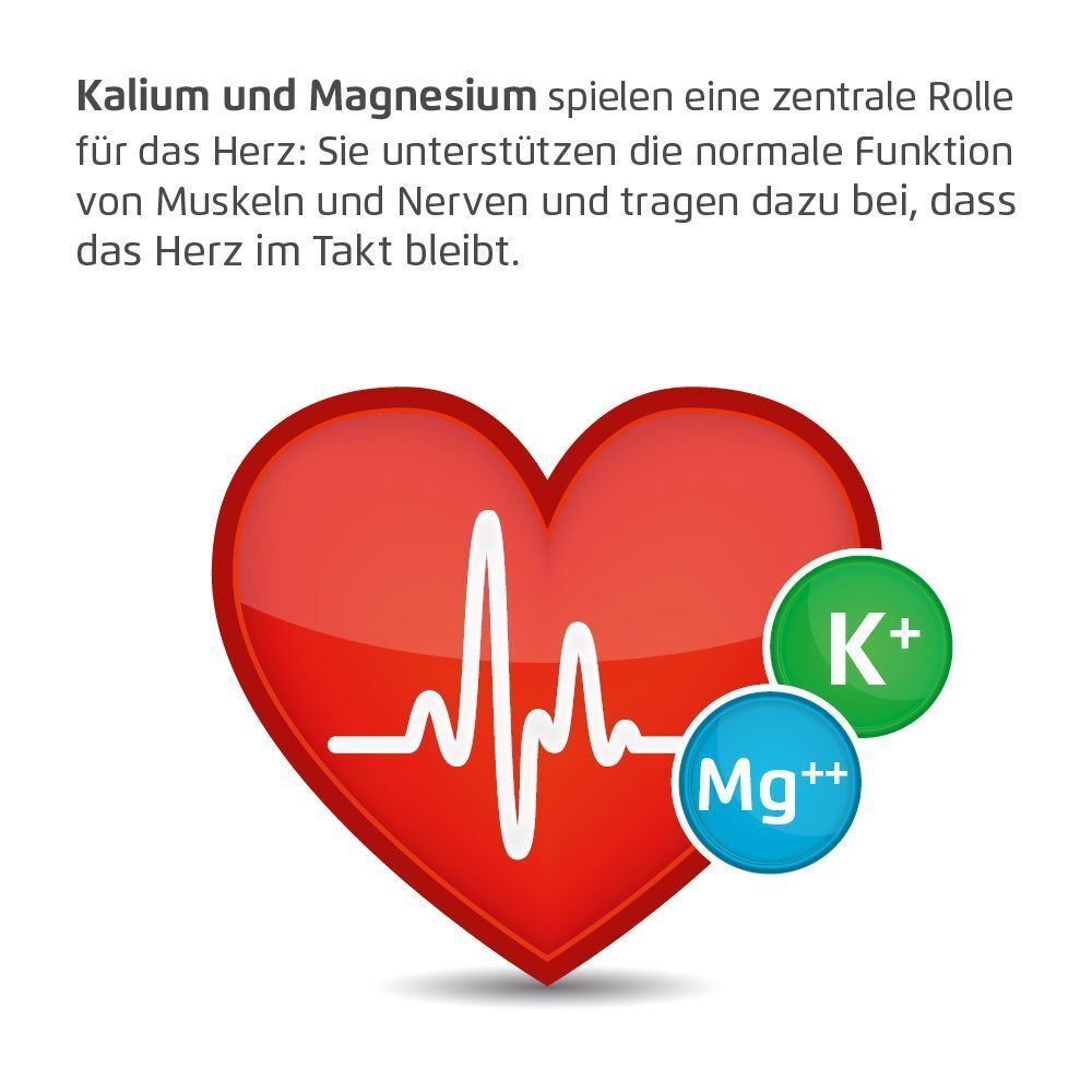 Rotes Herz mit EKG-Linie, daneben K+ und Mg++ Symbole. Text über Kalium und Magnesium.