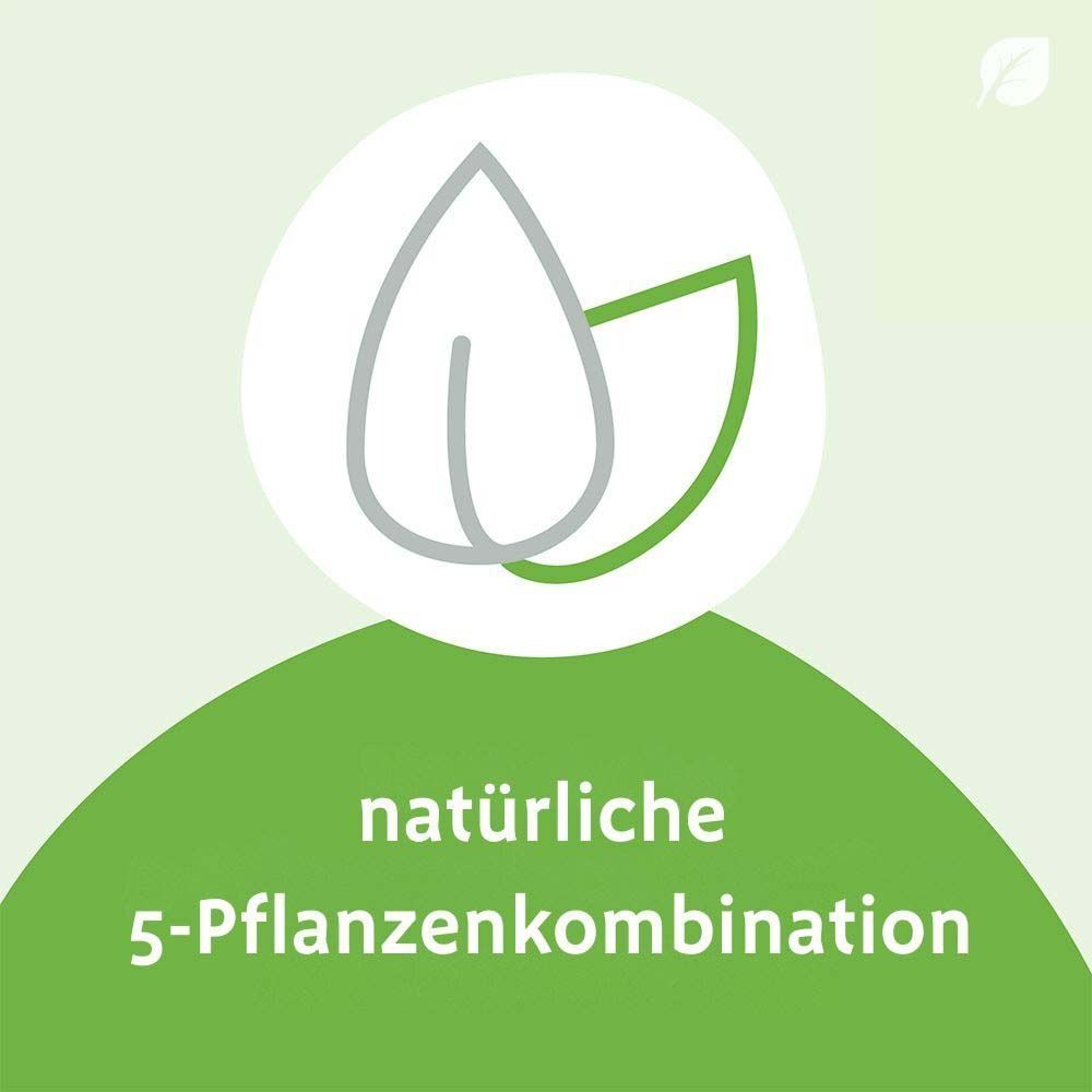 Grüner Hintergrund mit weißem Kreis. Darin zwei Blätter. Text: natürliche 5-Pflanzenkombination.