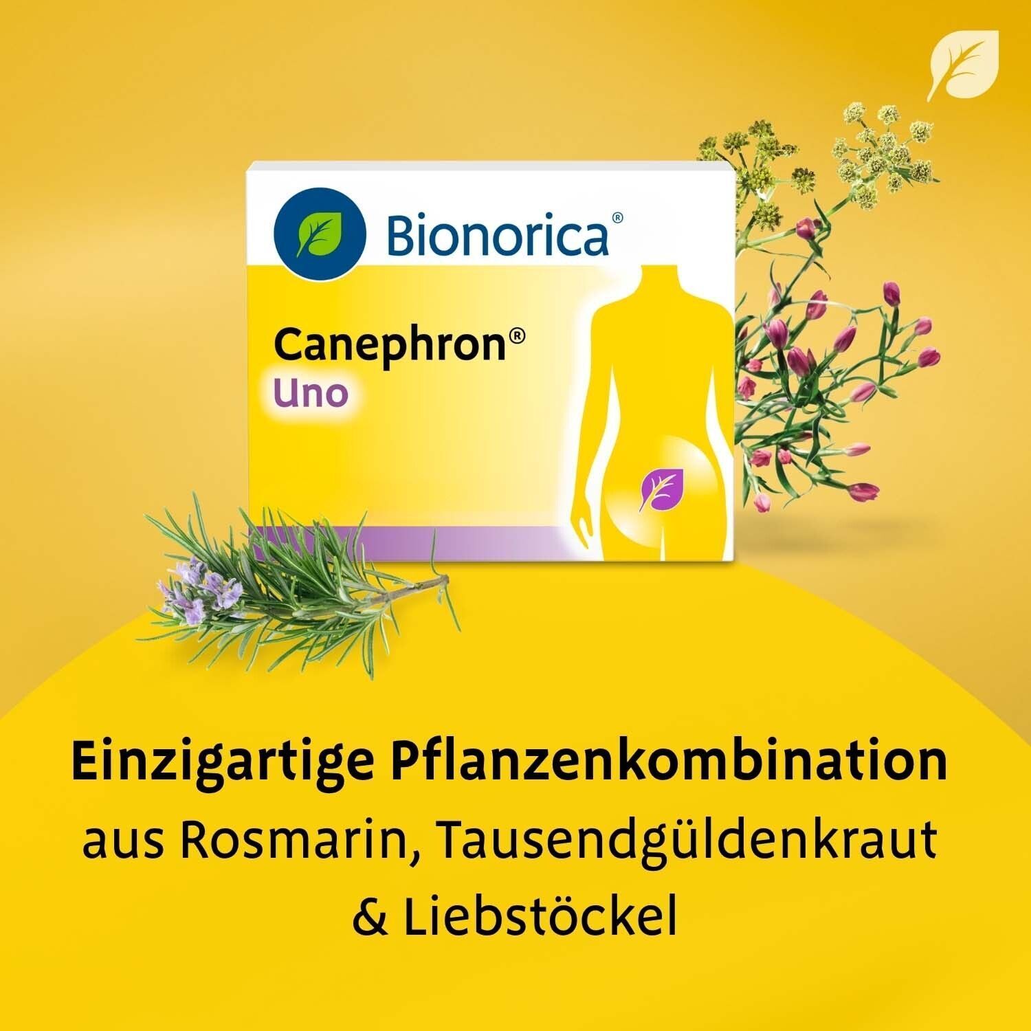 Packung Canephron Uno mit Kräutern. Text: Einzigartige Pflanzenkombination aus Rosmarin, Tausendgüldenkraut & Liebstöckel.