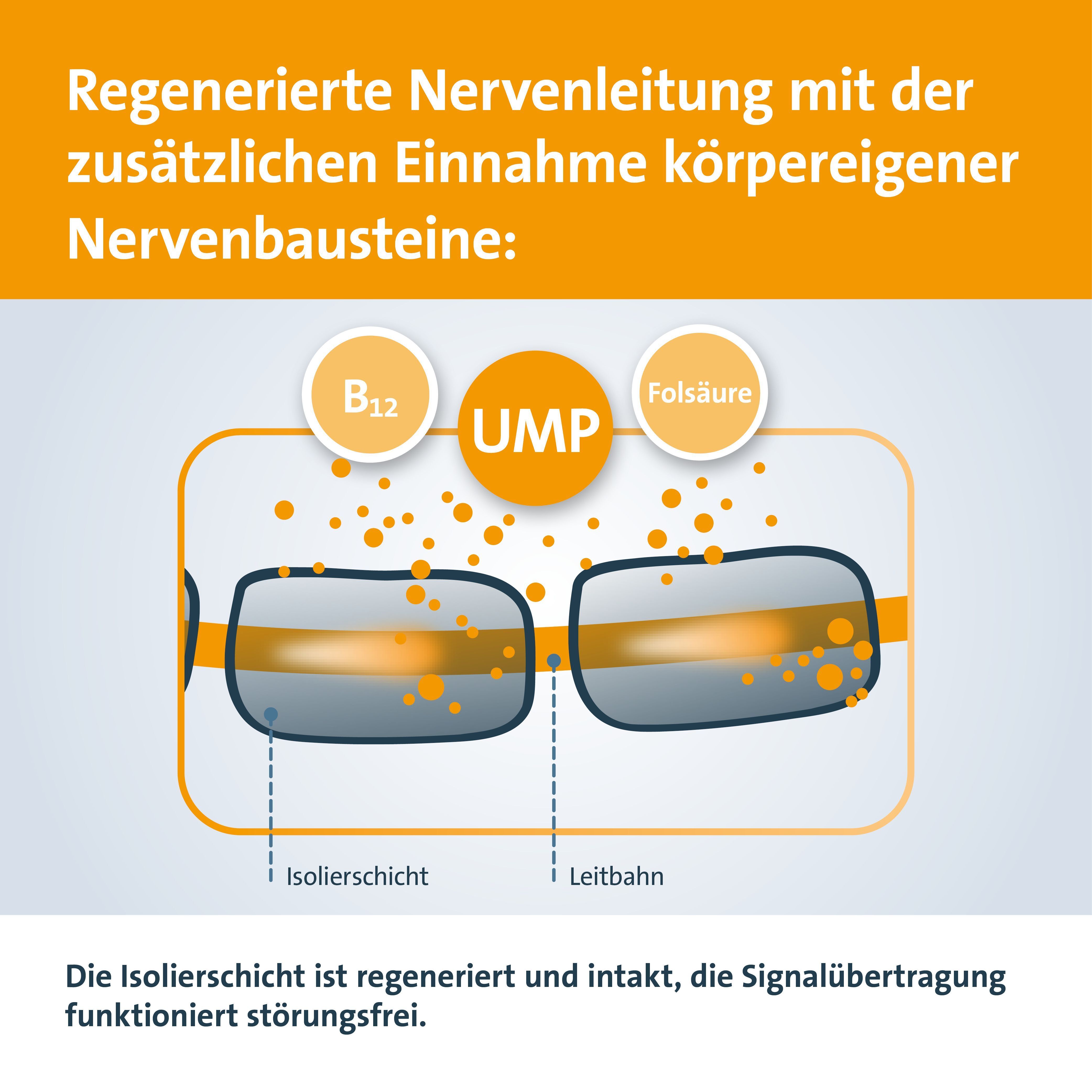 Grafische Darstellung der Nervenregeneration. Darstellung von B12, UMP und Folsäure. Isolierschicht und Leitbahn.