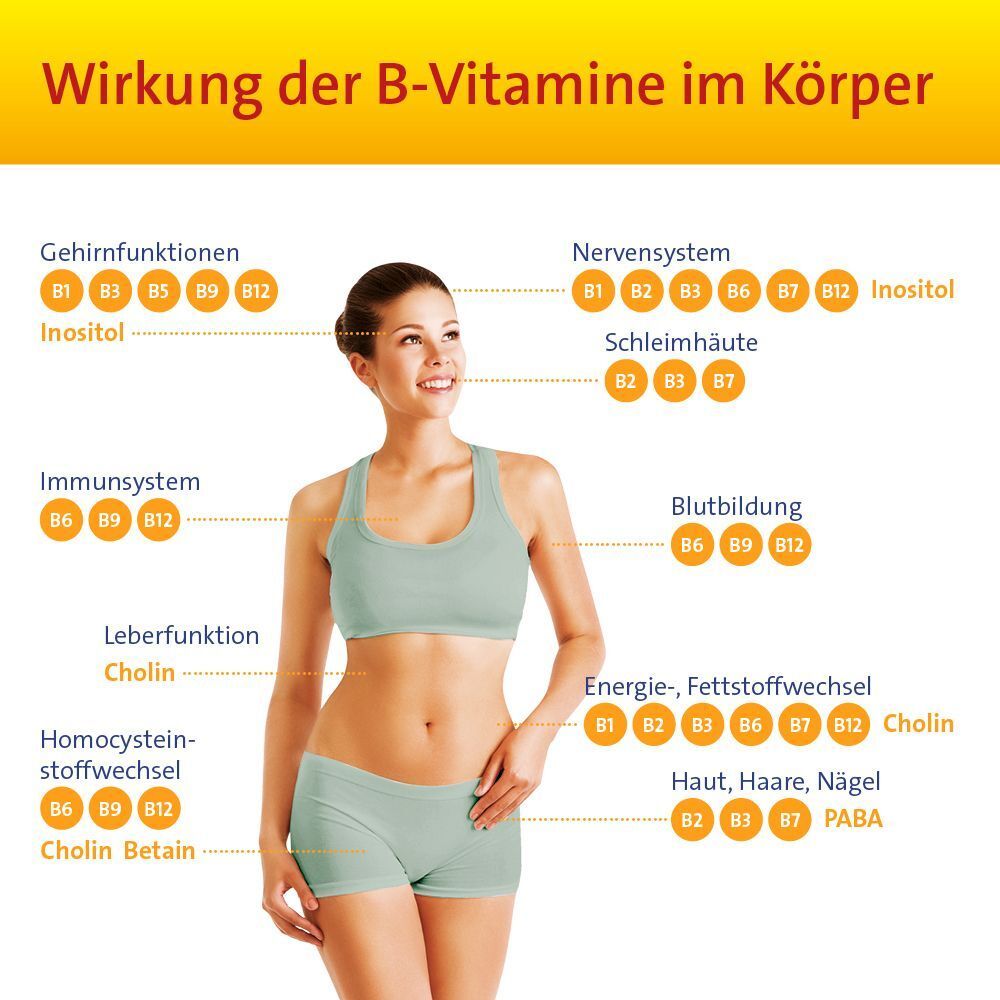 Infografik zur Wirkung der B-Vitamine im Körper. Zeigt Bereiche wie Gehirn, Nerven, Immunsystem und Haut.
