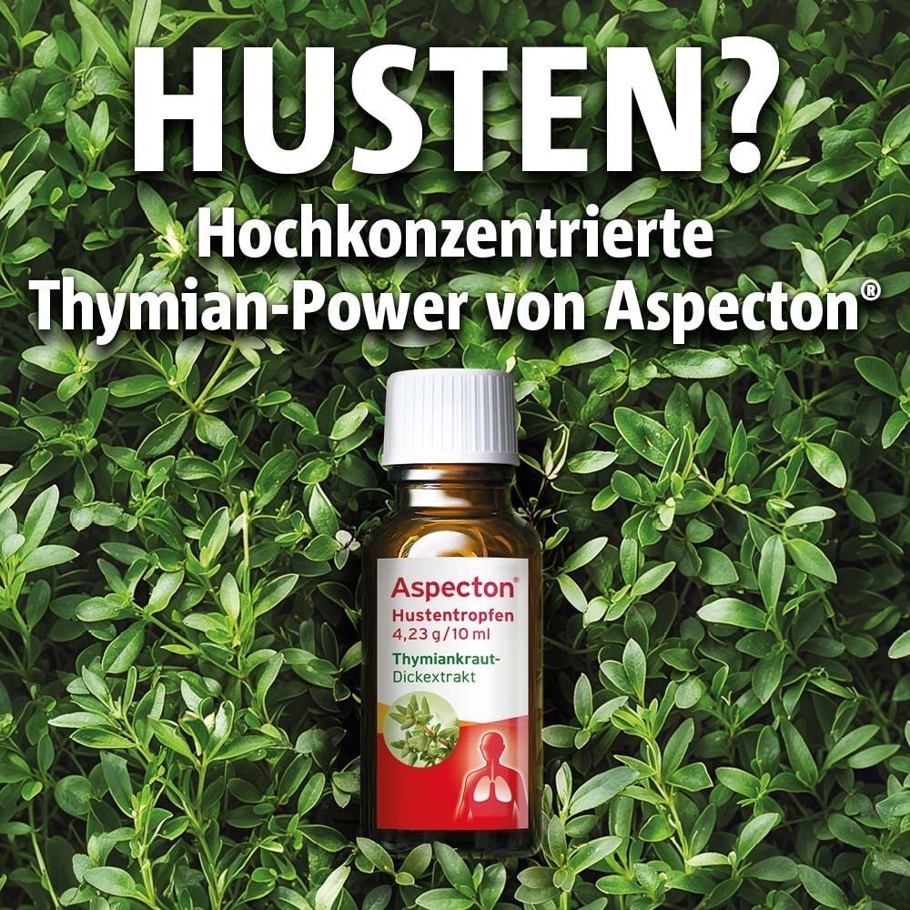 Aspecton® Hustentropfen Flasche vor grünem Hintergrund. Aufschrift: Hochkonzentrierte Thymian-Power von Aspecton®.