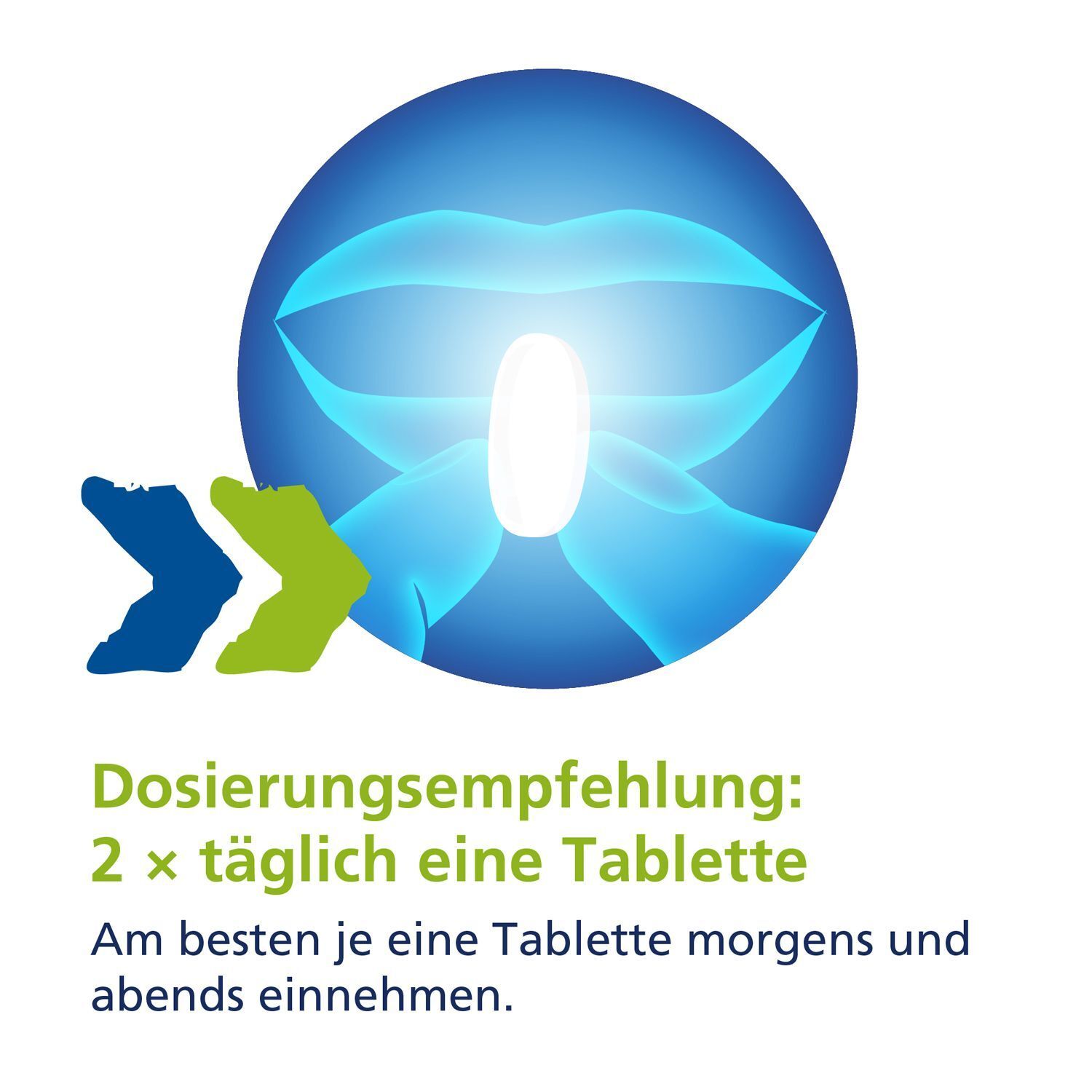 Blaue Illustration eines Mundes mit einer Tablette. Text: Dosierungsempfehlung: 2 x täglich eine Tablette. Einnahme morgens und abends.