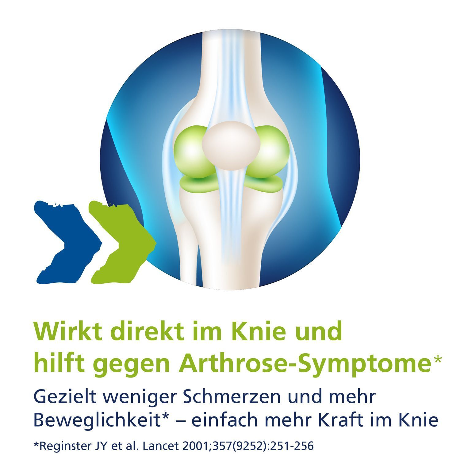 Illustration eines Knies. Text: Wirkt direkt im Knie und hilft gegen Arthrose-Symptome. Weniger Schmerzen, mehr Beweglichkeit.
