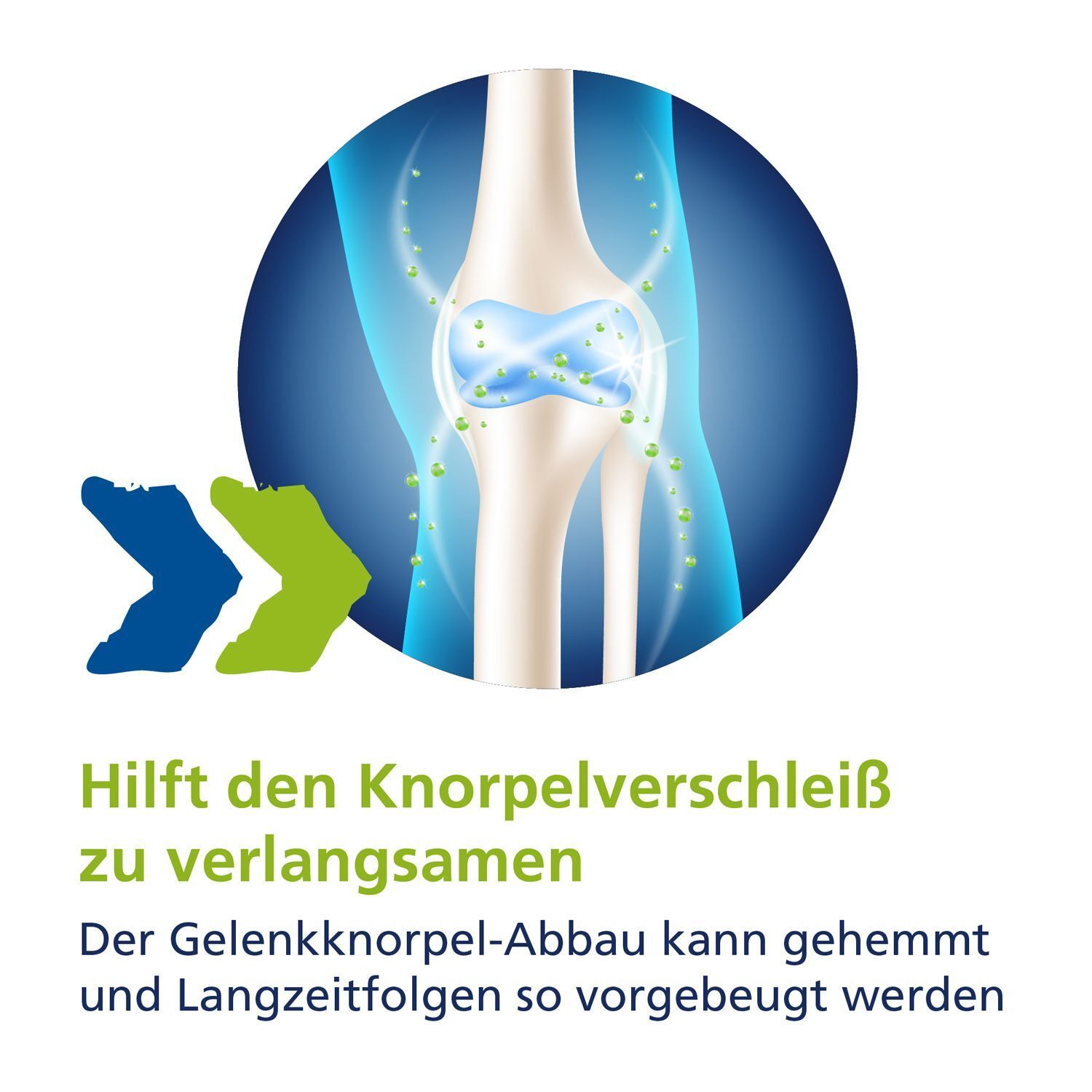 Illustration eines Knies. Text: Hilft den Knorpelverschleiß zu verlangsamen. Knorpelabbau kann gehemmt und Langzeitfolgen vorgebeugt werden.