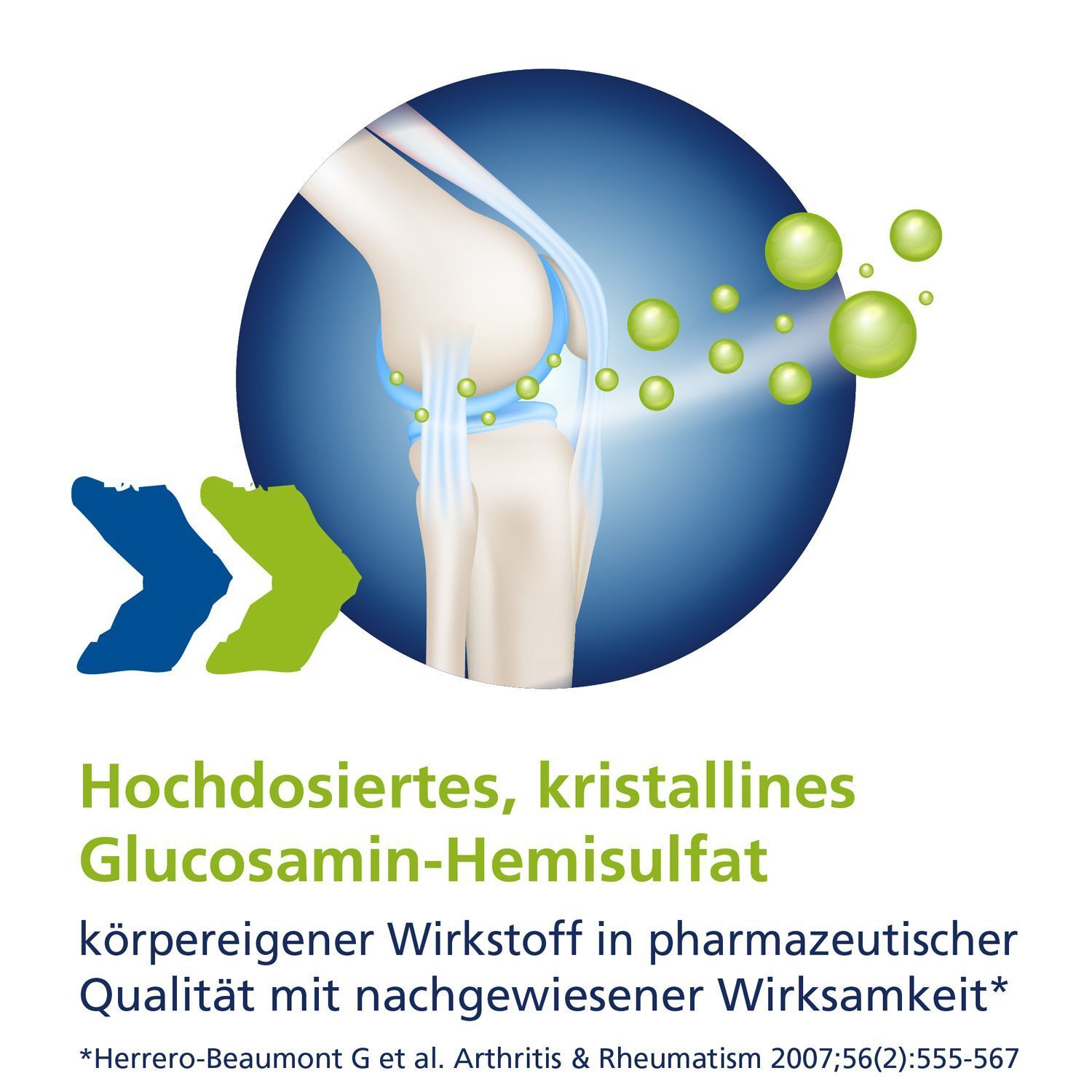 Illustration eines Knies. Text: Hochdosiertes, kristallines Glucosamin-Hemisulfat. Wirkstoff in pharmazeutischer Qualität.
