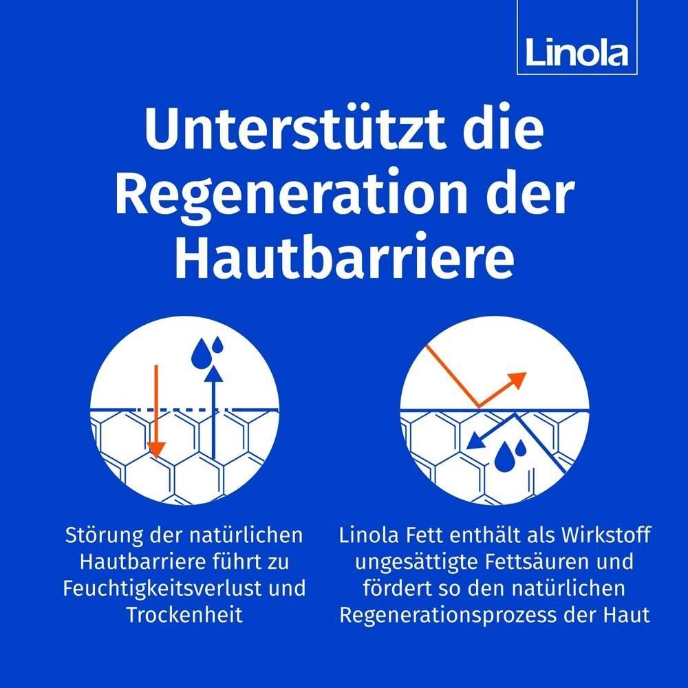 Grafik: Darstellung der Hautbarriere. Text: Unterstützt die Regeneration der Hautbarriere. Störung führt zu Trockenheit.