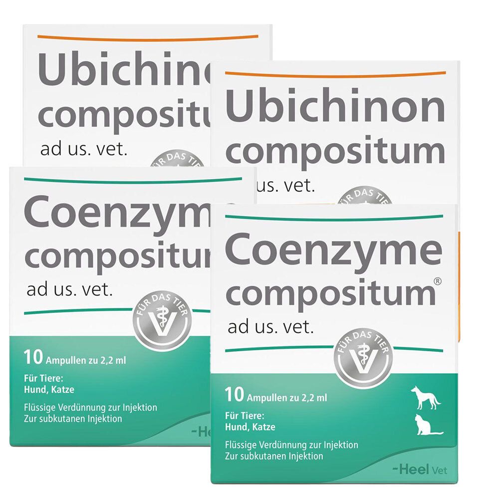 Solidago compositum ad us. vet. Ampullen + Ubichinon Coe 2x2x10 St