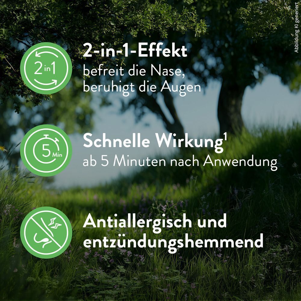Landschaft mit Symbolen. Text: 2-in-1-Effekt, befreit die Nase, beruhigt die Augen. Schnelle Wirkung ab 5 Minuten. Antiallergisch und entzündungshemmend.