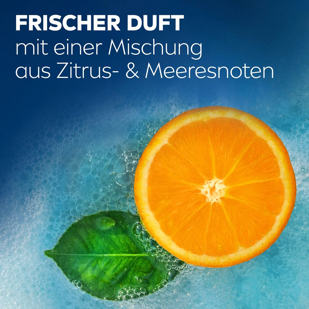 Eine Orangenscheibe und ein grünes Blatt in sprudelndem Wasser.
