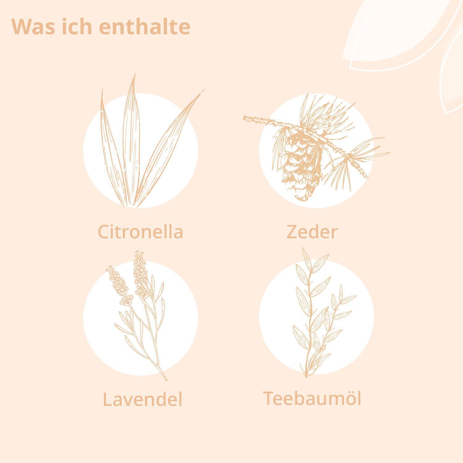 Illustrationen von Pflanzen: Citronella, Zeder, Lavendel, Teebaumöl. Text: Was ich enthalte.